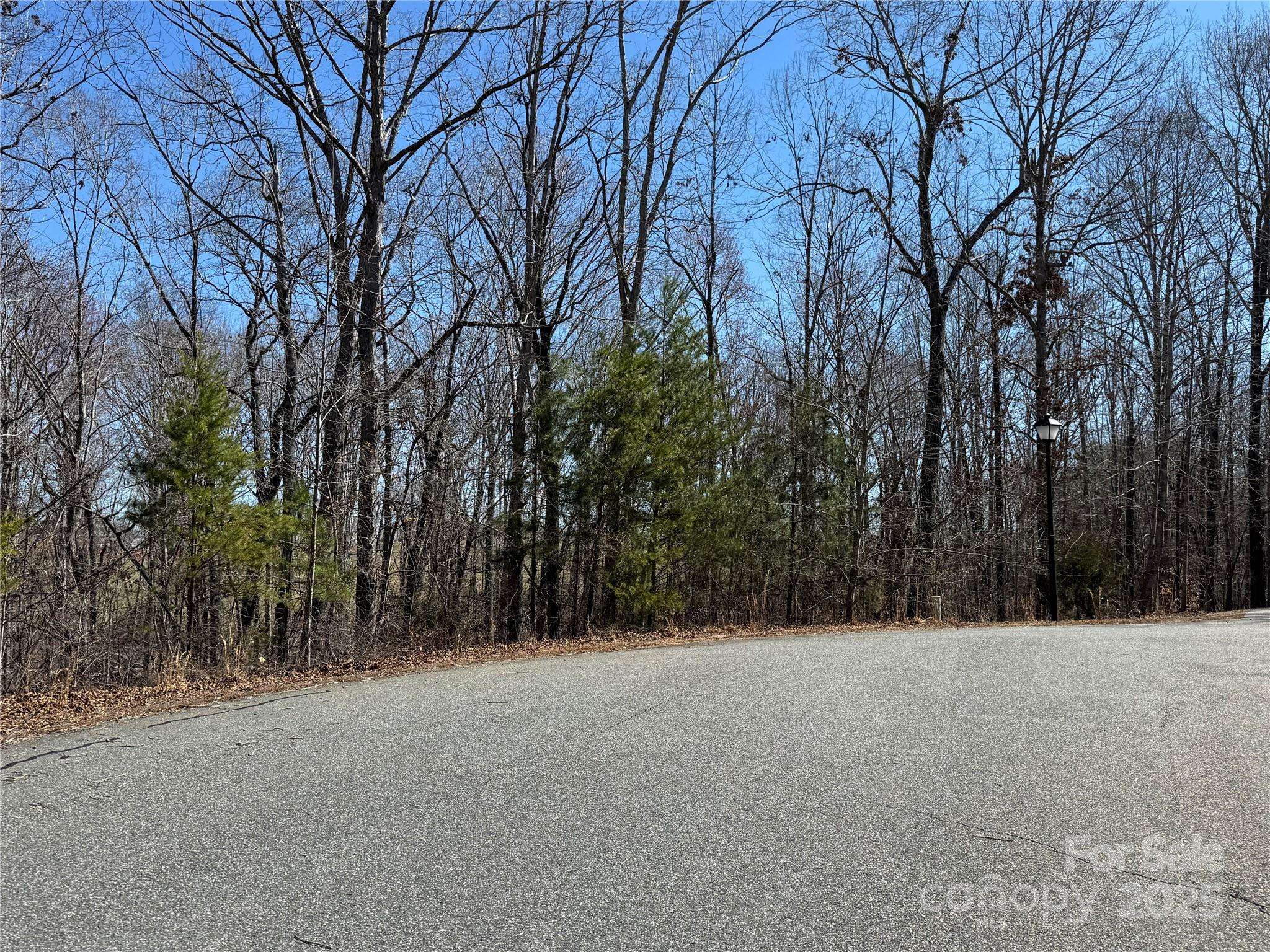 00 Shady Bark LN, Rutherfordton, NC 28139