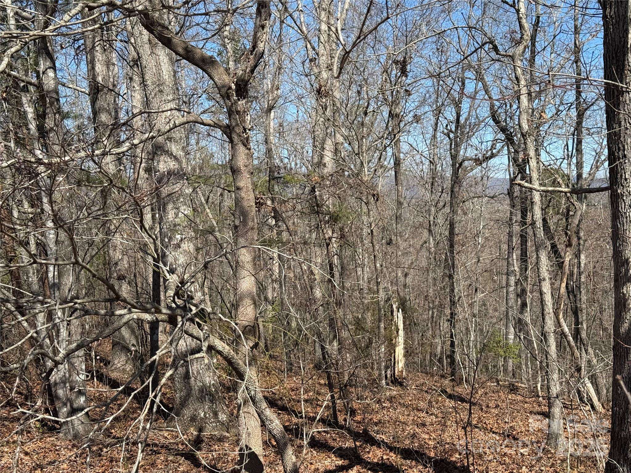 00 Shady Bark LN, Rutherfordton, NC 28139