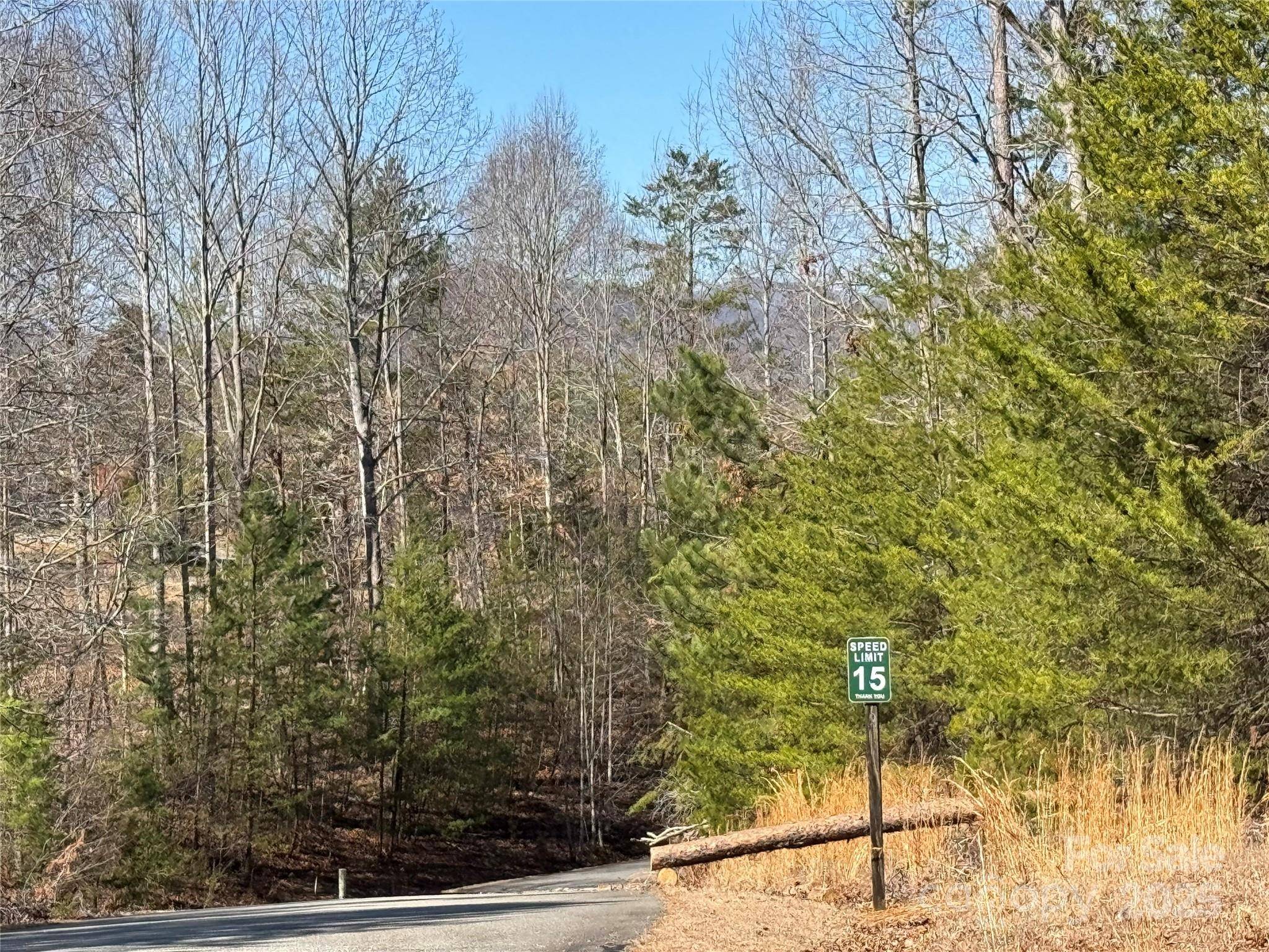 00 Shady Bark LN, Rutherfordton, NC 28139
