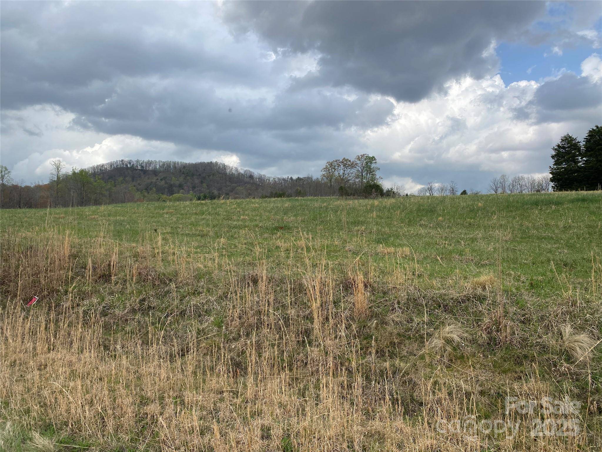 0 Cane Creek Mountain RD, Bostic, NC 28018