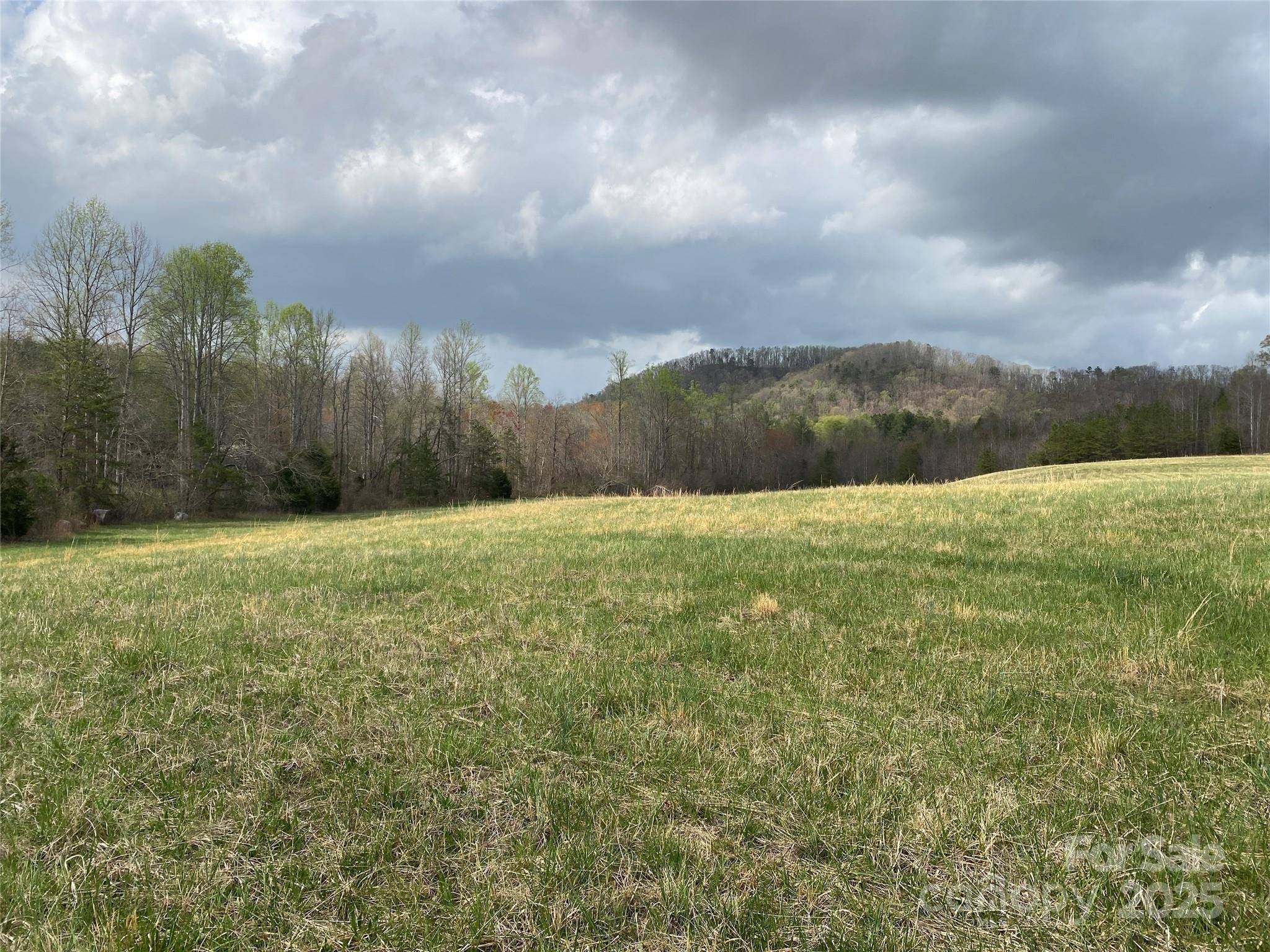0 Cane Creek Mountain RD, Bostic, NC 28018