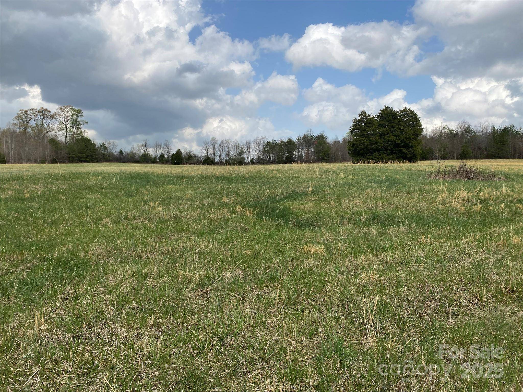0 Cane Creek Mountain RD, Bostic, NC 28018