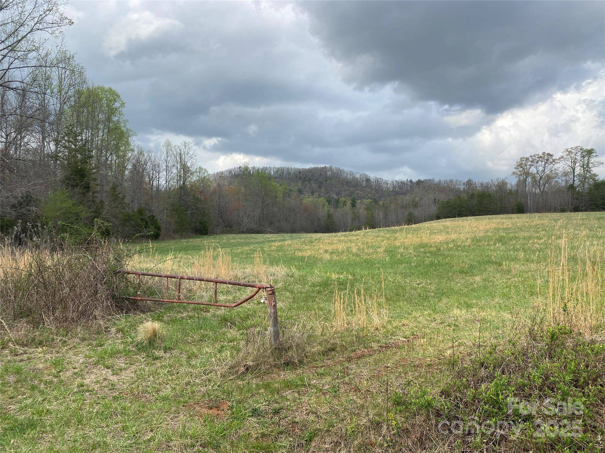 0 Cane Creek Mountain RD, Bostic, NC 28018