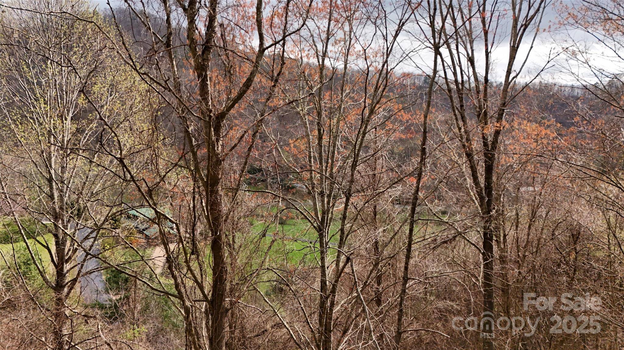 380 Serenity Mountain LN, Mars Hill, NC 28754