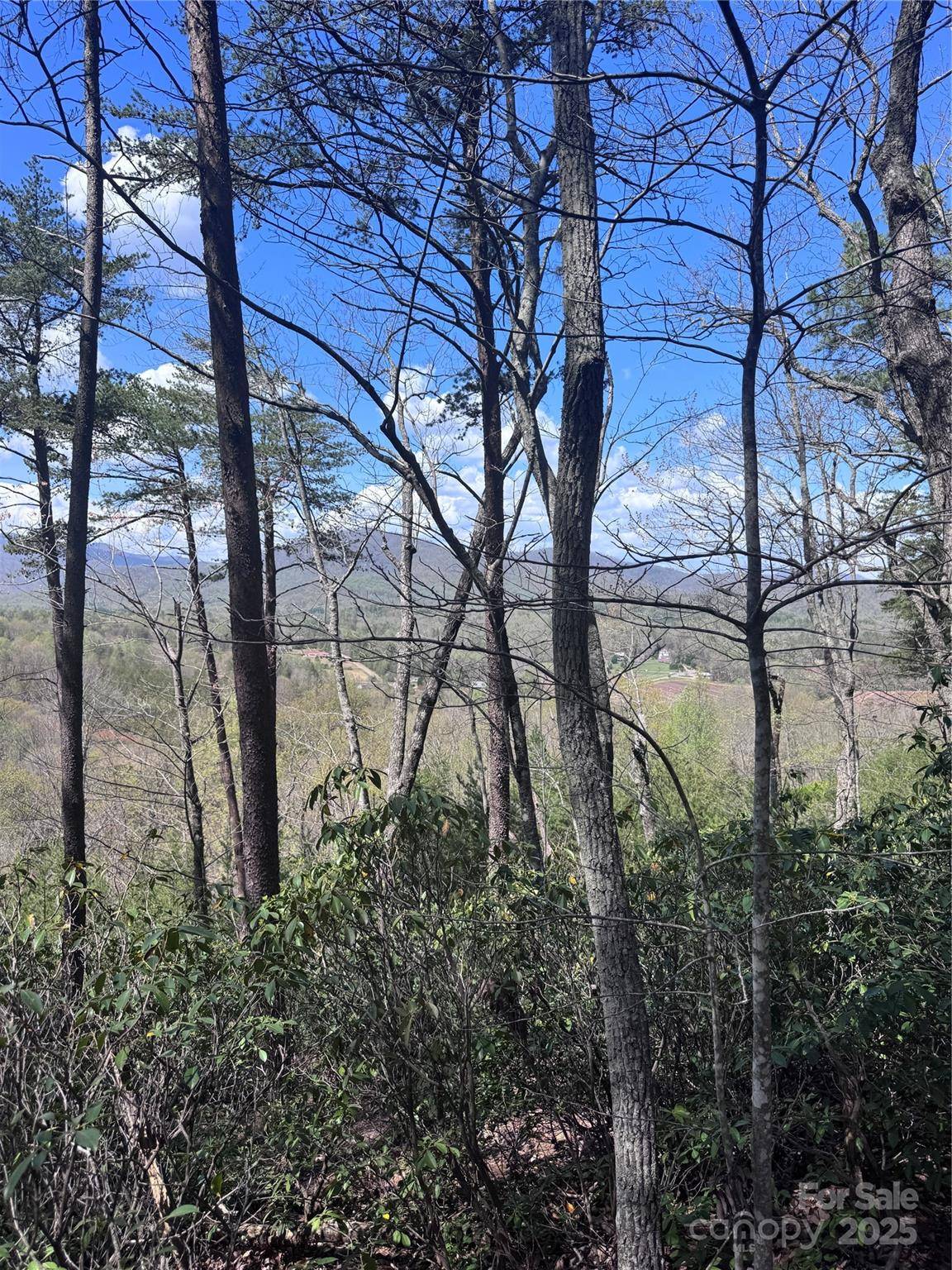 0 High Pines LOOP #162, Lake Lure, NC 28746