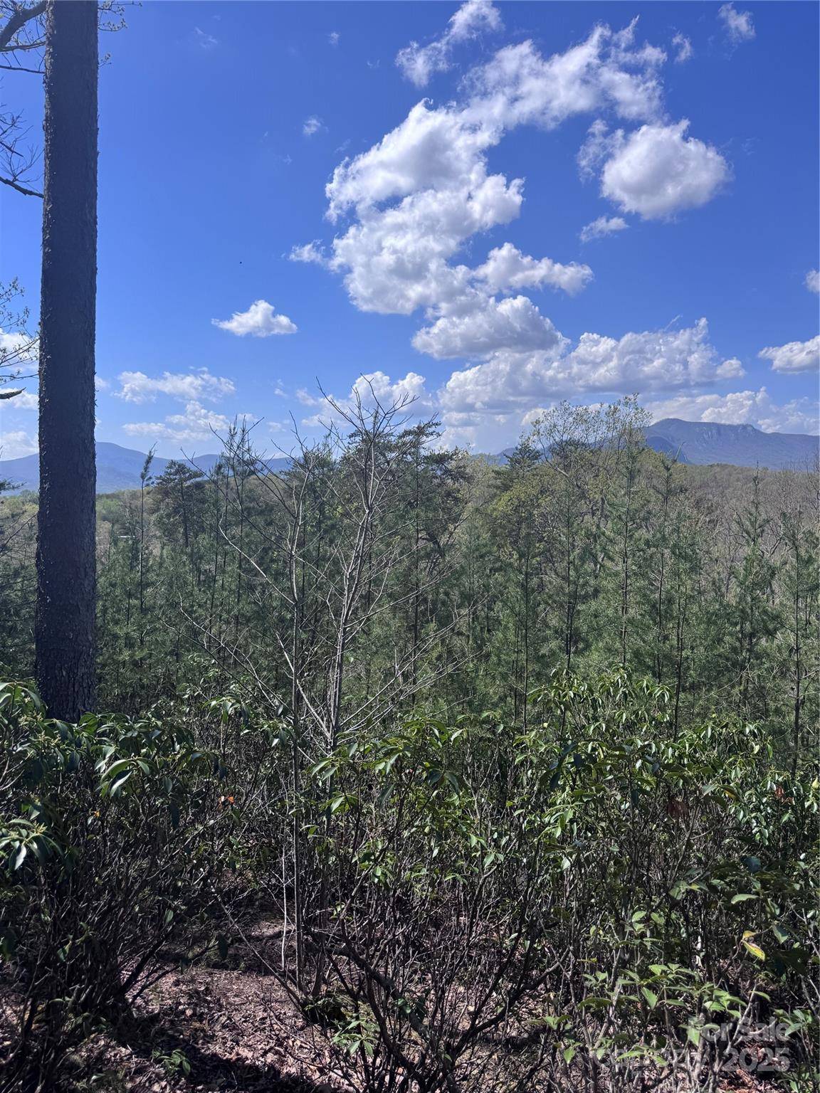 0 High Pines LOOP #162, Lake Lure, NC 28746