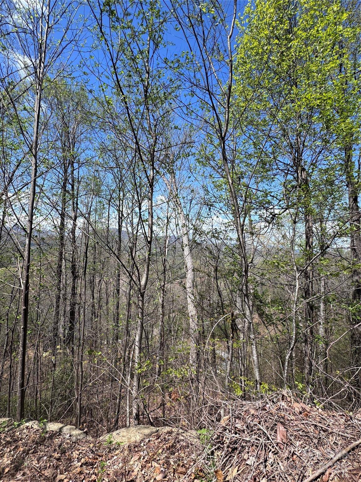 0 High Pines LOOP #162, Lake Lure, NC 28746
