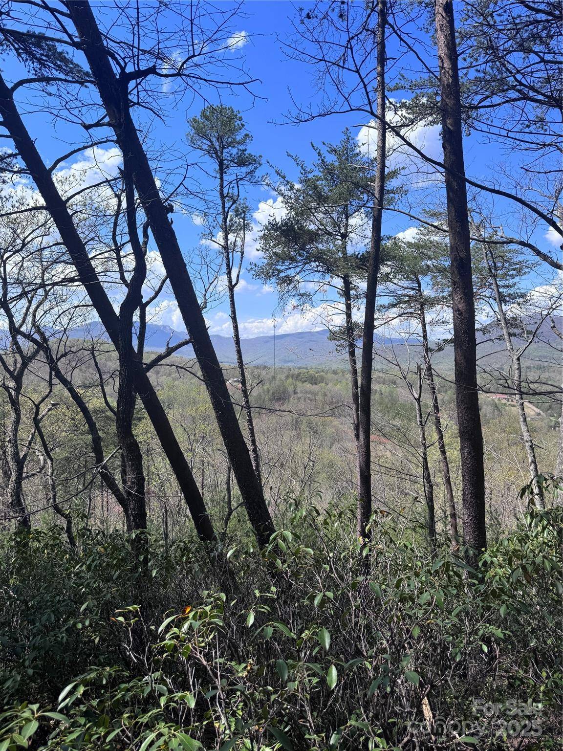 0 High Pines LOOP #162, Lake Lure, NC 28746