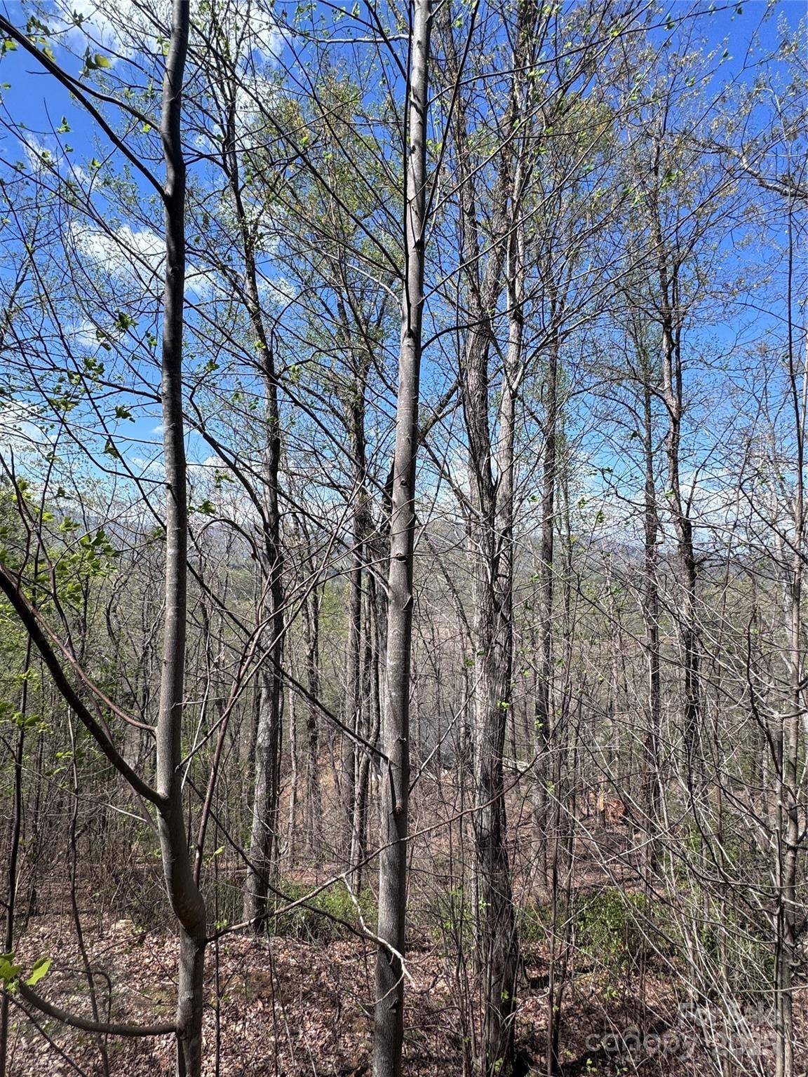 0 High Pines LOOP #158, Lake Lure, NC 28746