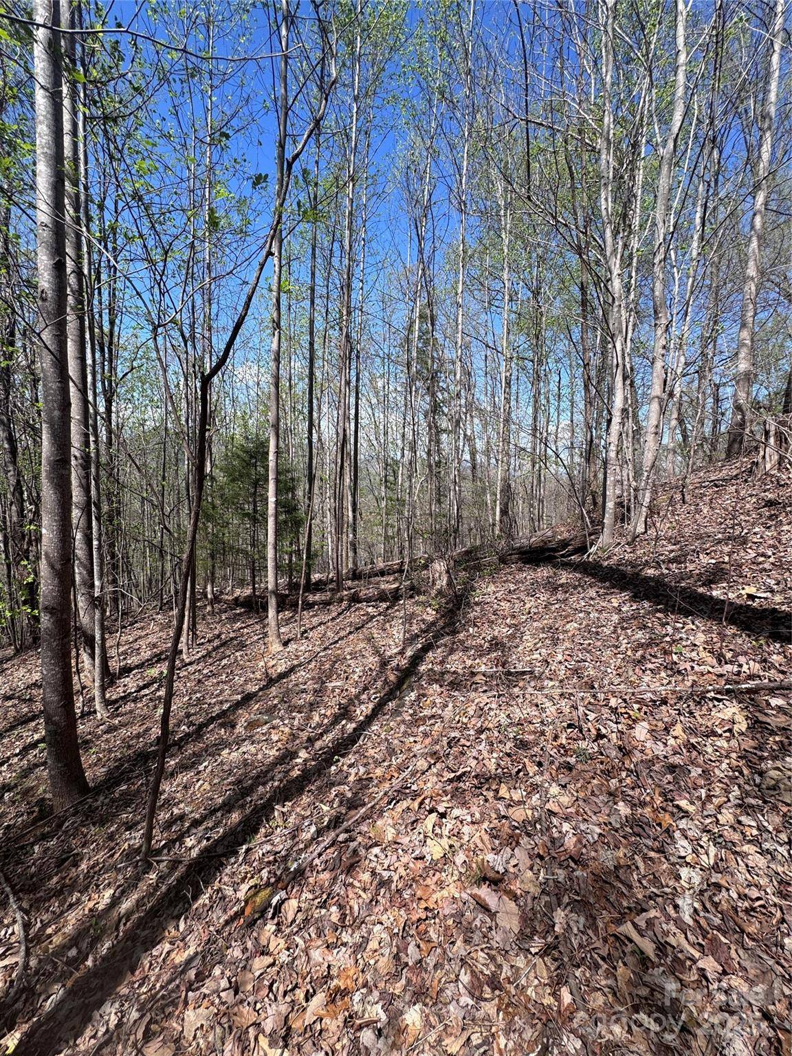 0 High Pines LOOP #158, Lake Lure, NC 28746