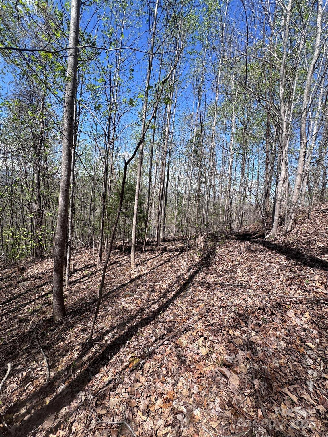0 High Pines LOOP #158, Lake Lure, NC 28746