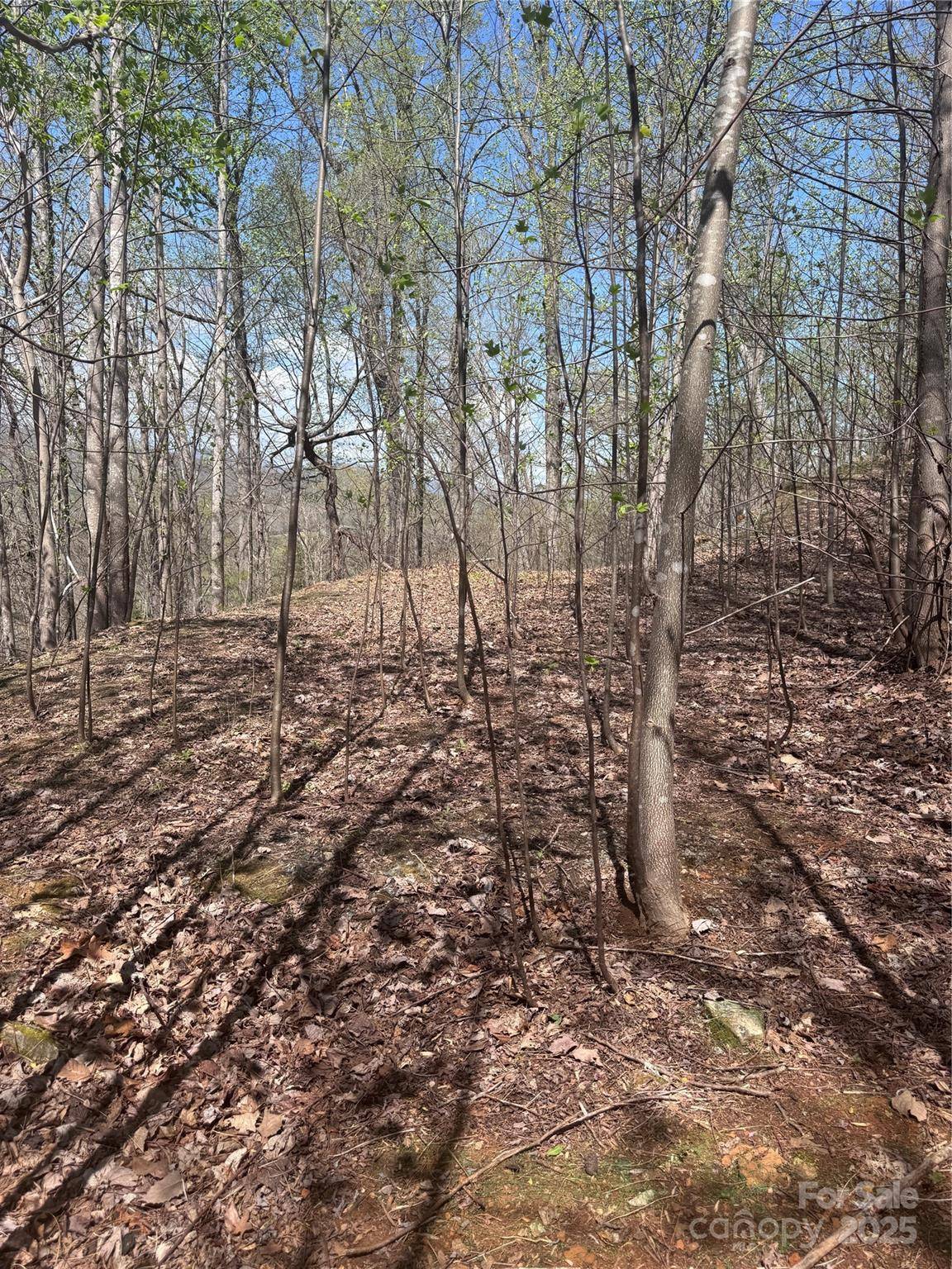 0 High Pines LOOP #158, Lake Lure, NC 28746