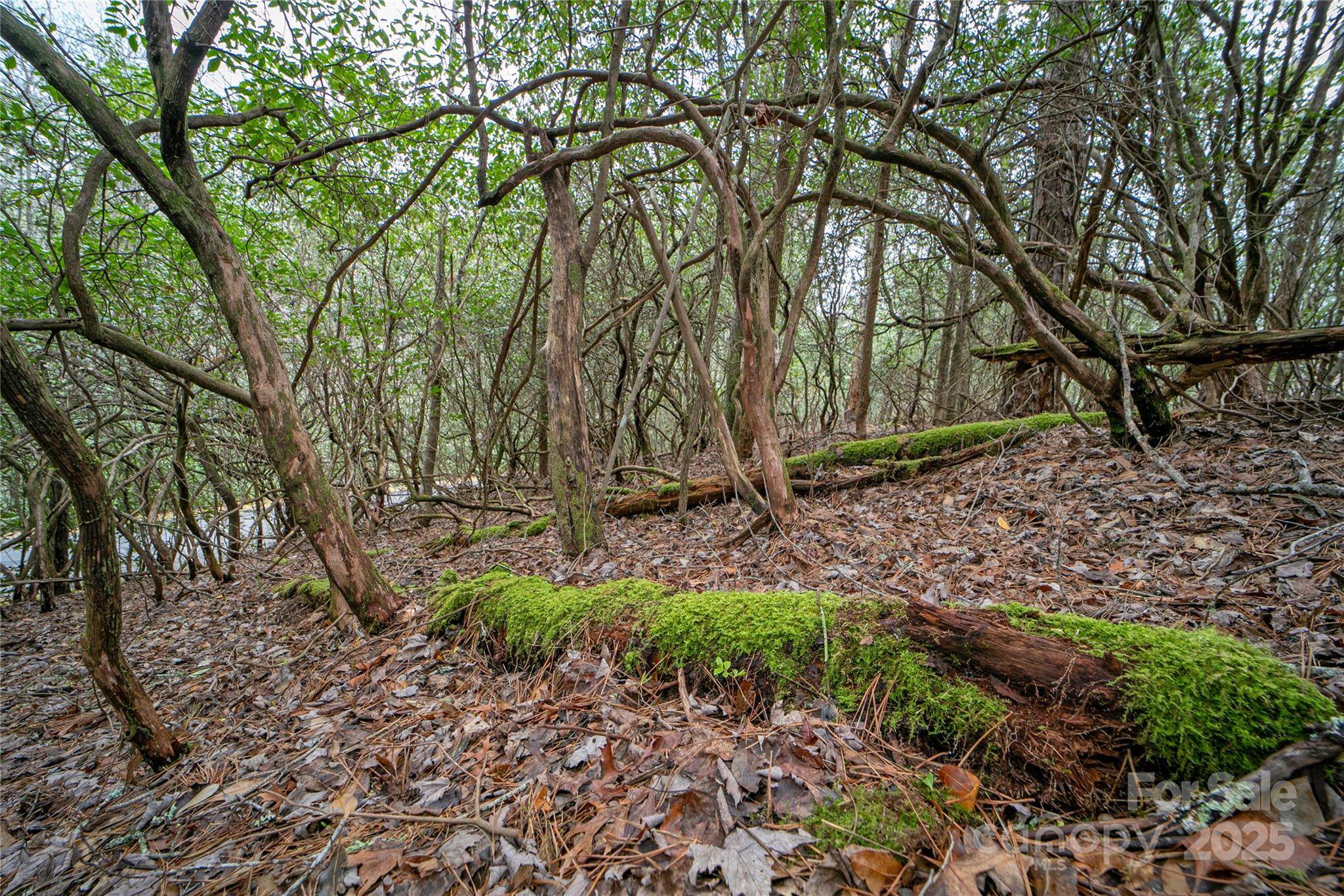 Lot 131 Thunder RD, Brevard, NC 28712