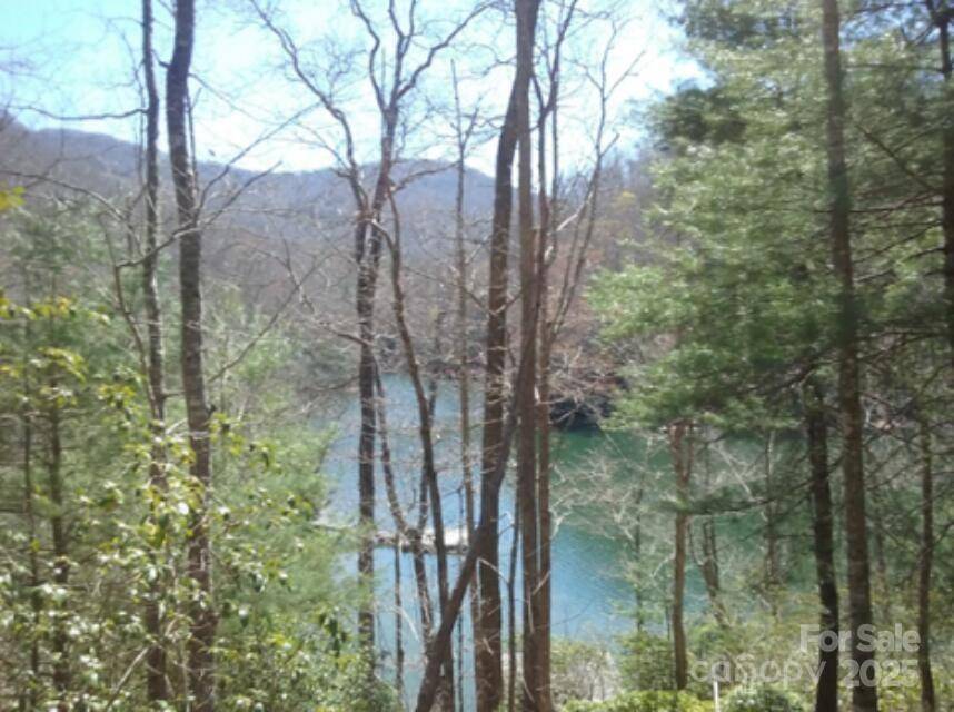 152 Mandolin CT, Tuckasegee, NC 28783