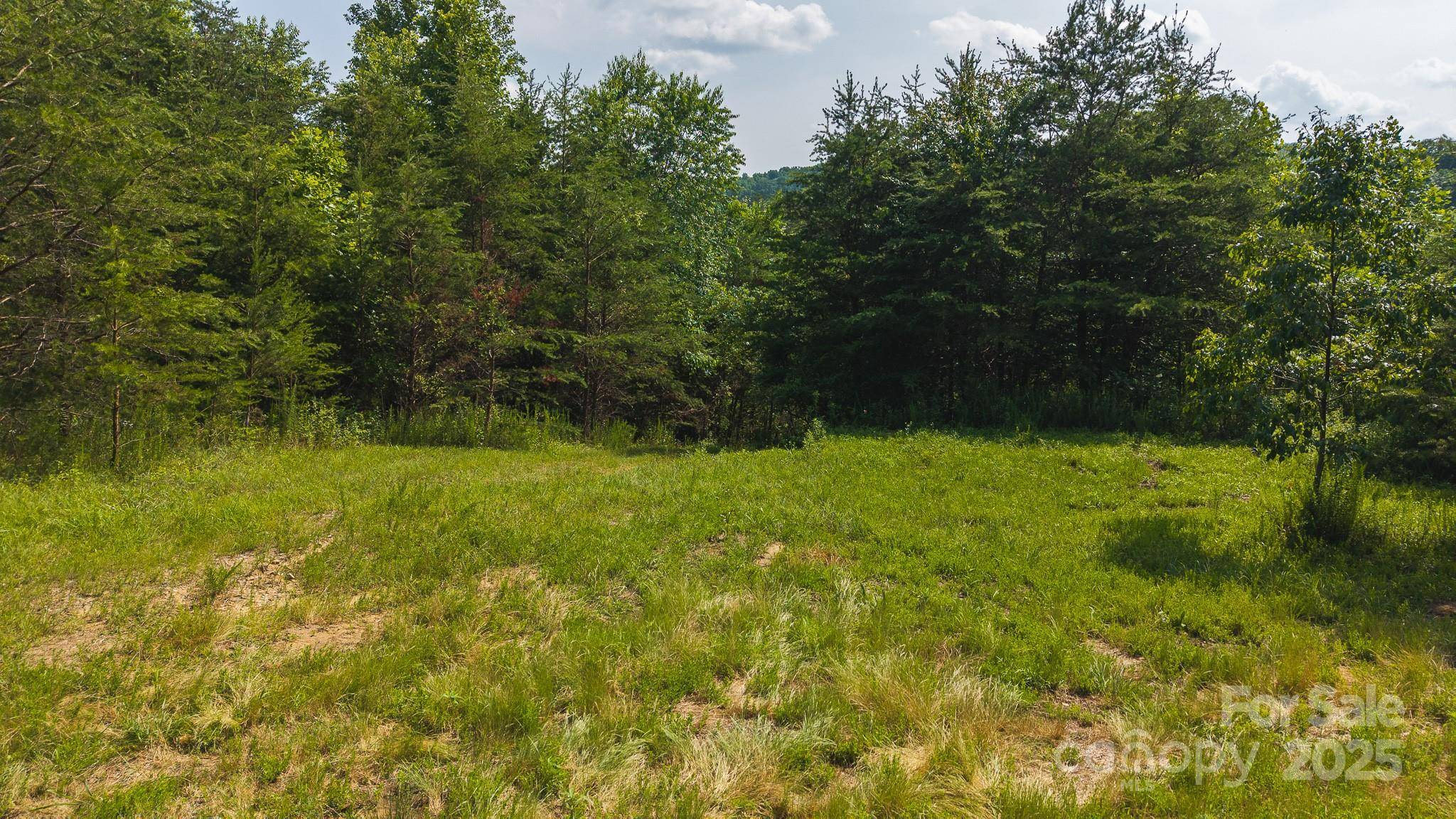 0 Old Vashti RD #2, Taylorsville, NC 28681