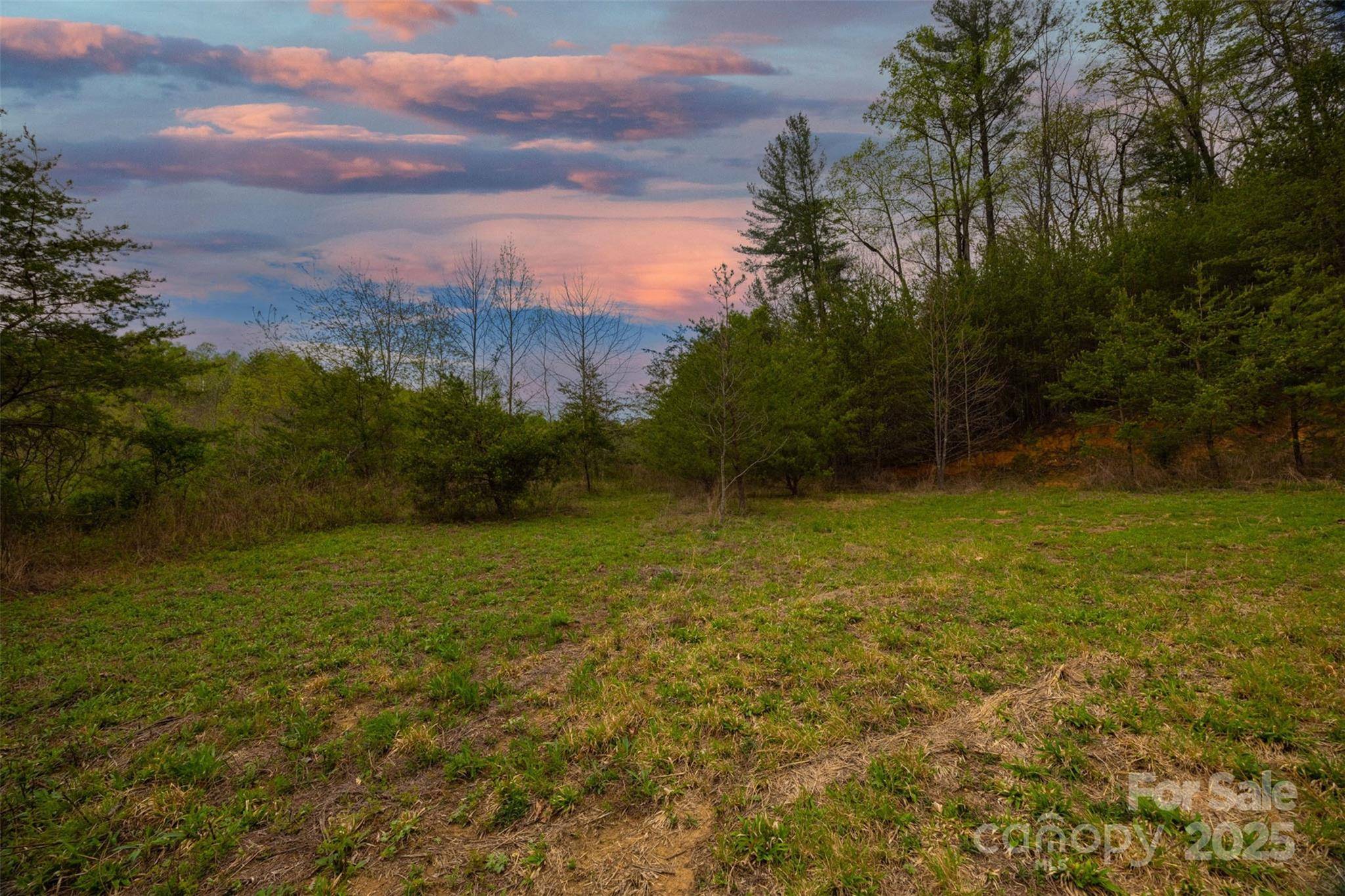 0 Old Vashti RD #2, Taylorsville, NC 28681