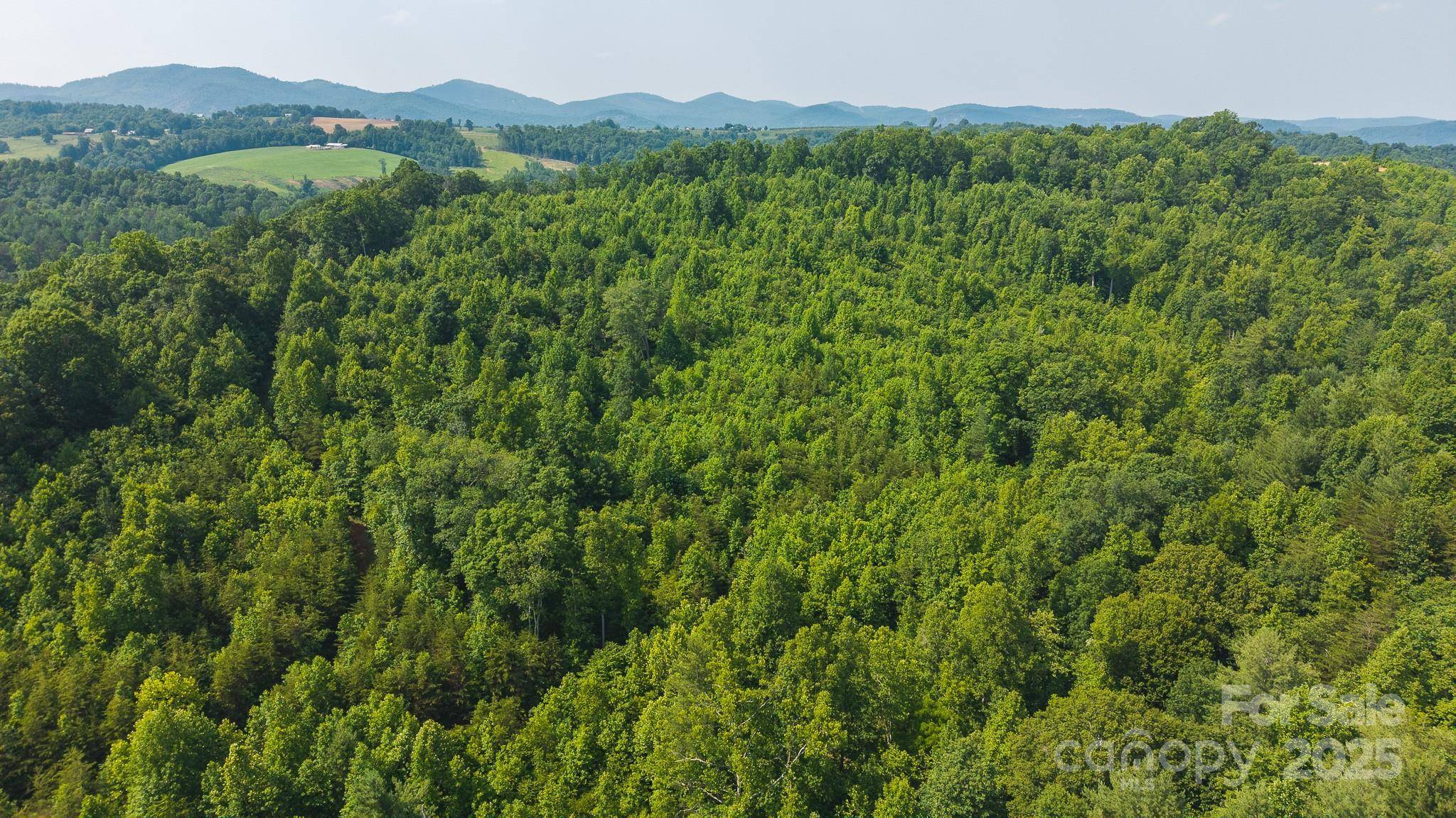 0 Old Vashti RD #2, Taylorsville, NC 28681