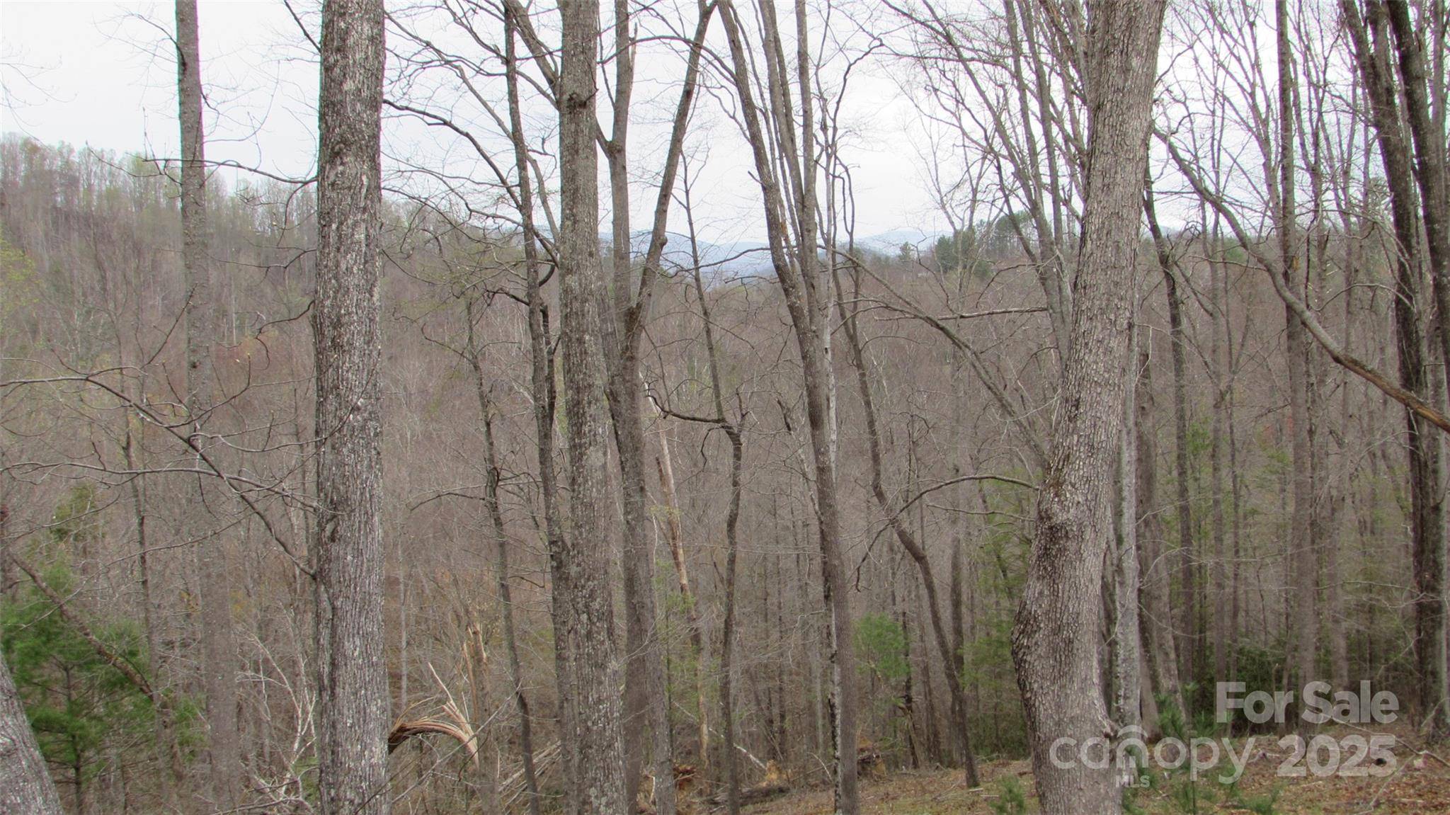 #74 Falling Water DR, Green Mountain, NC 28740