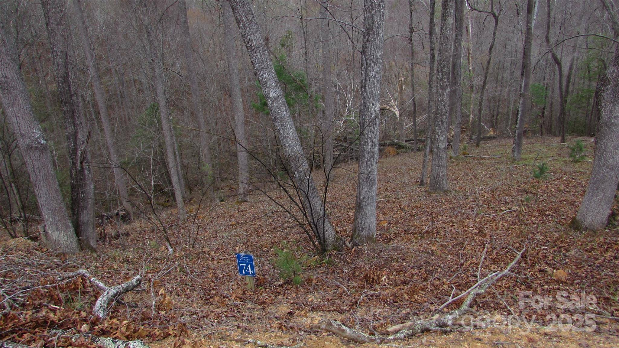 #74 Falling Water DR, Green Mountain, NC 28740