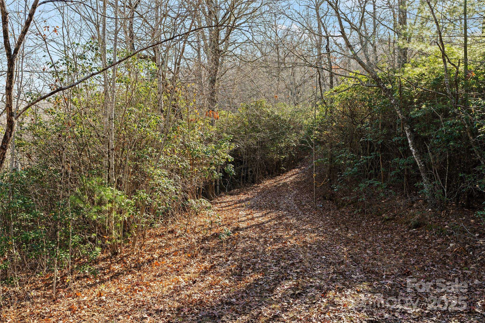 69 & 81 Winter Moon RDG, Sylva, NC 28779