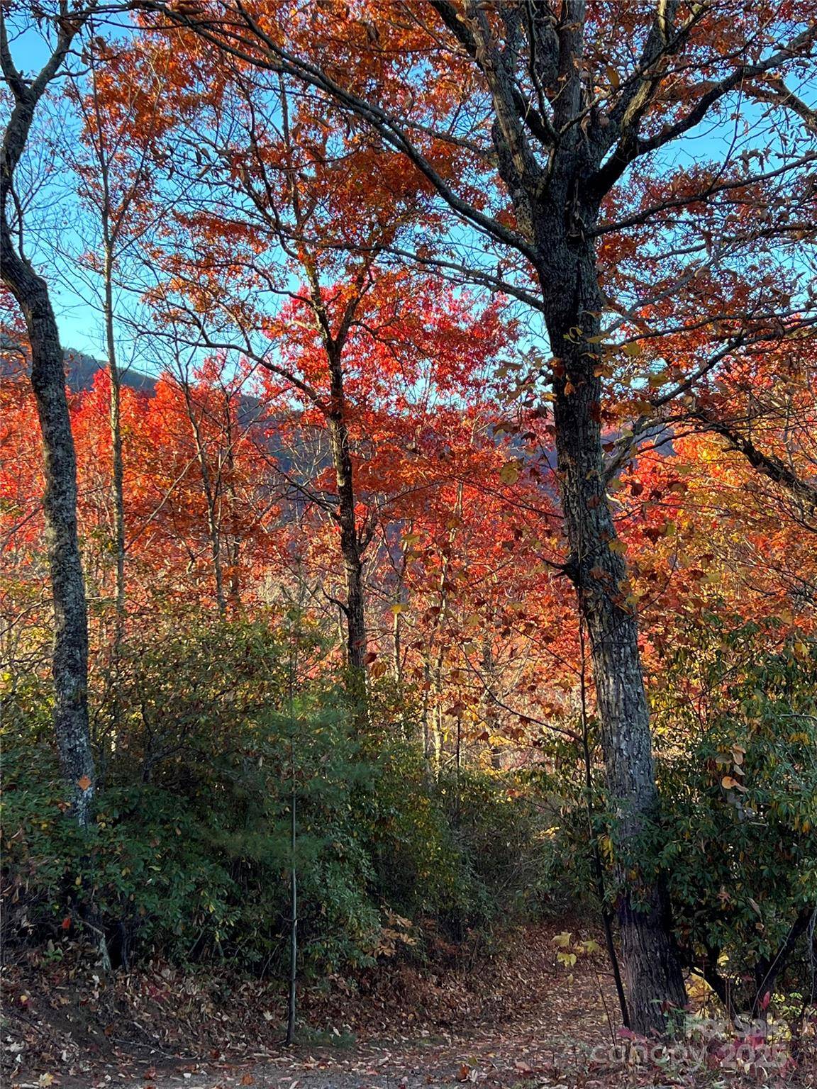 69 & 81 Winter Moon RDG, Sylva, NC 28779
