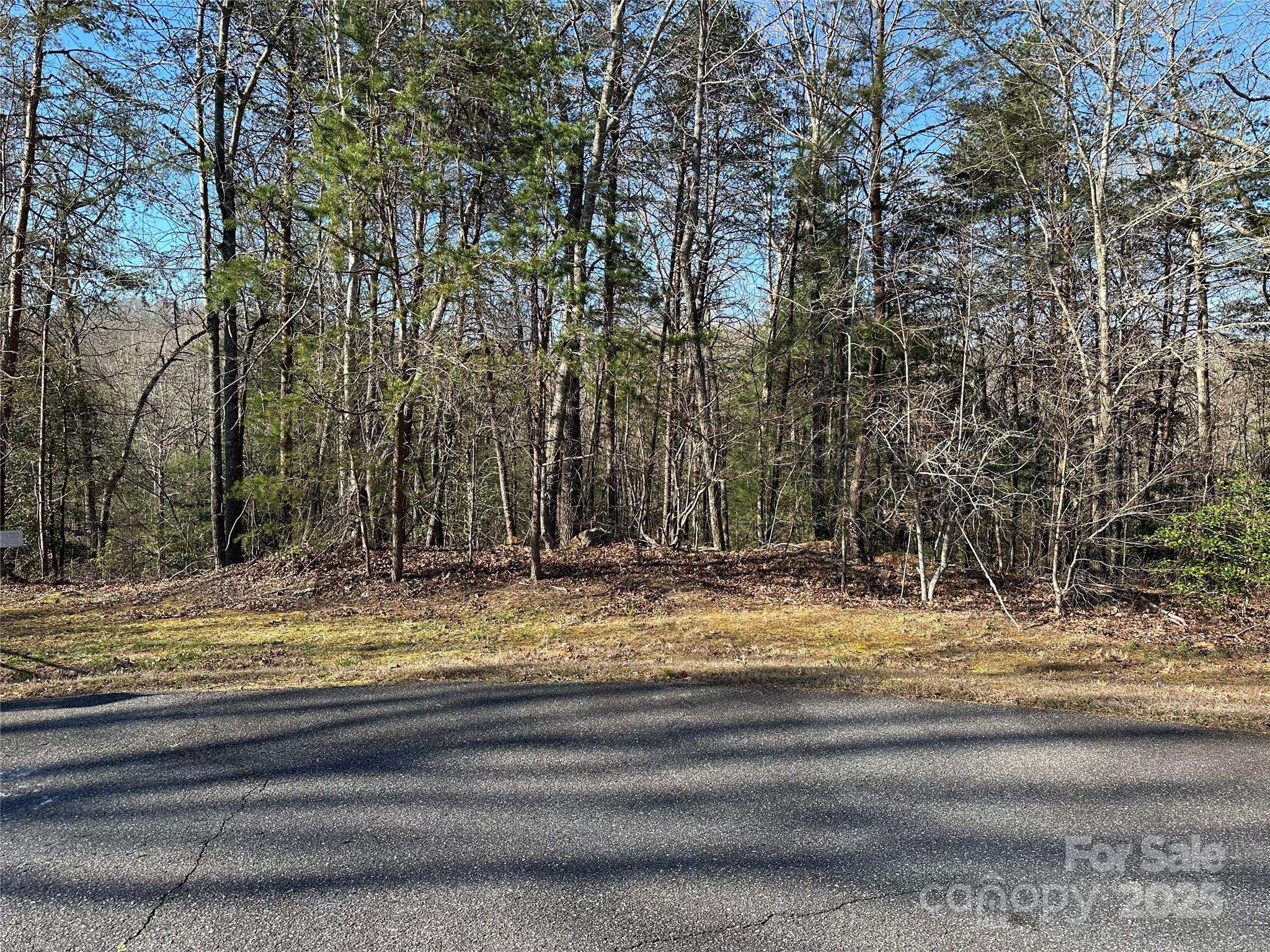00 Goose Creek DR, Taylorsville, NC 28681
