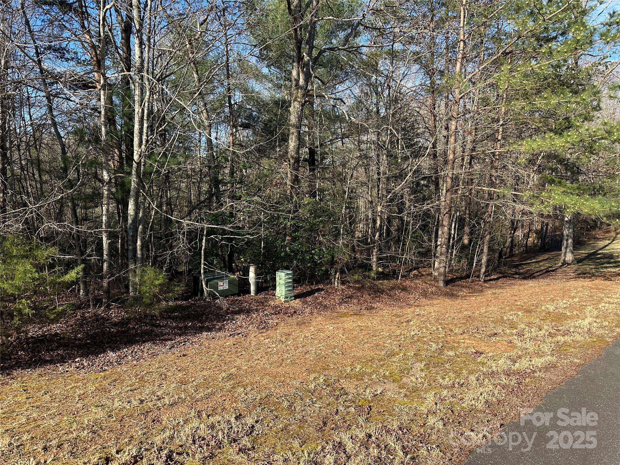 00 Goose Creek DR, Taylorsville, NC 28681