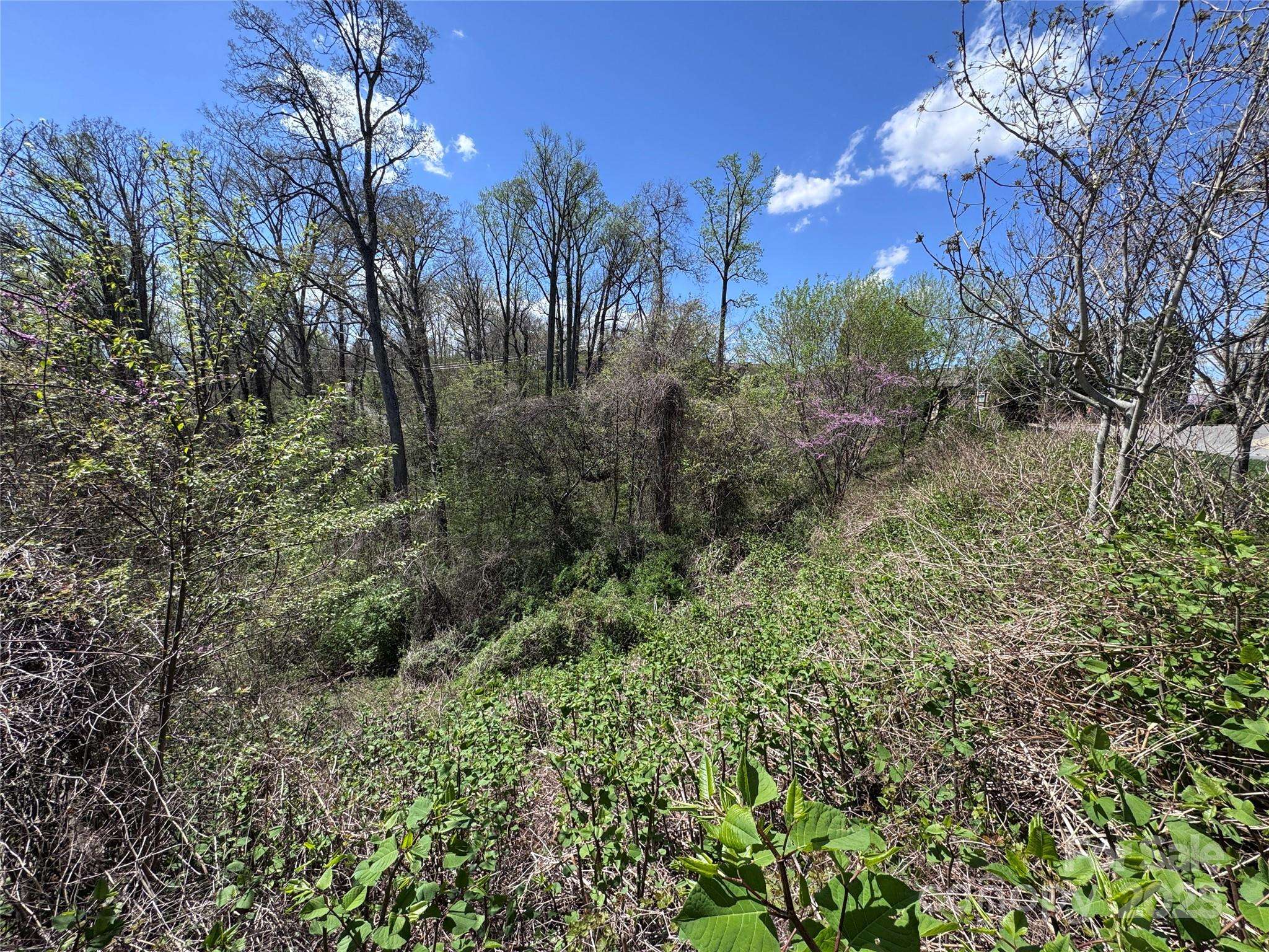 44 Samuel Ashe DR, Asheville, NC 28805