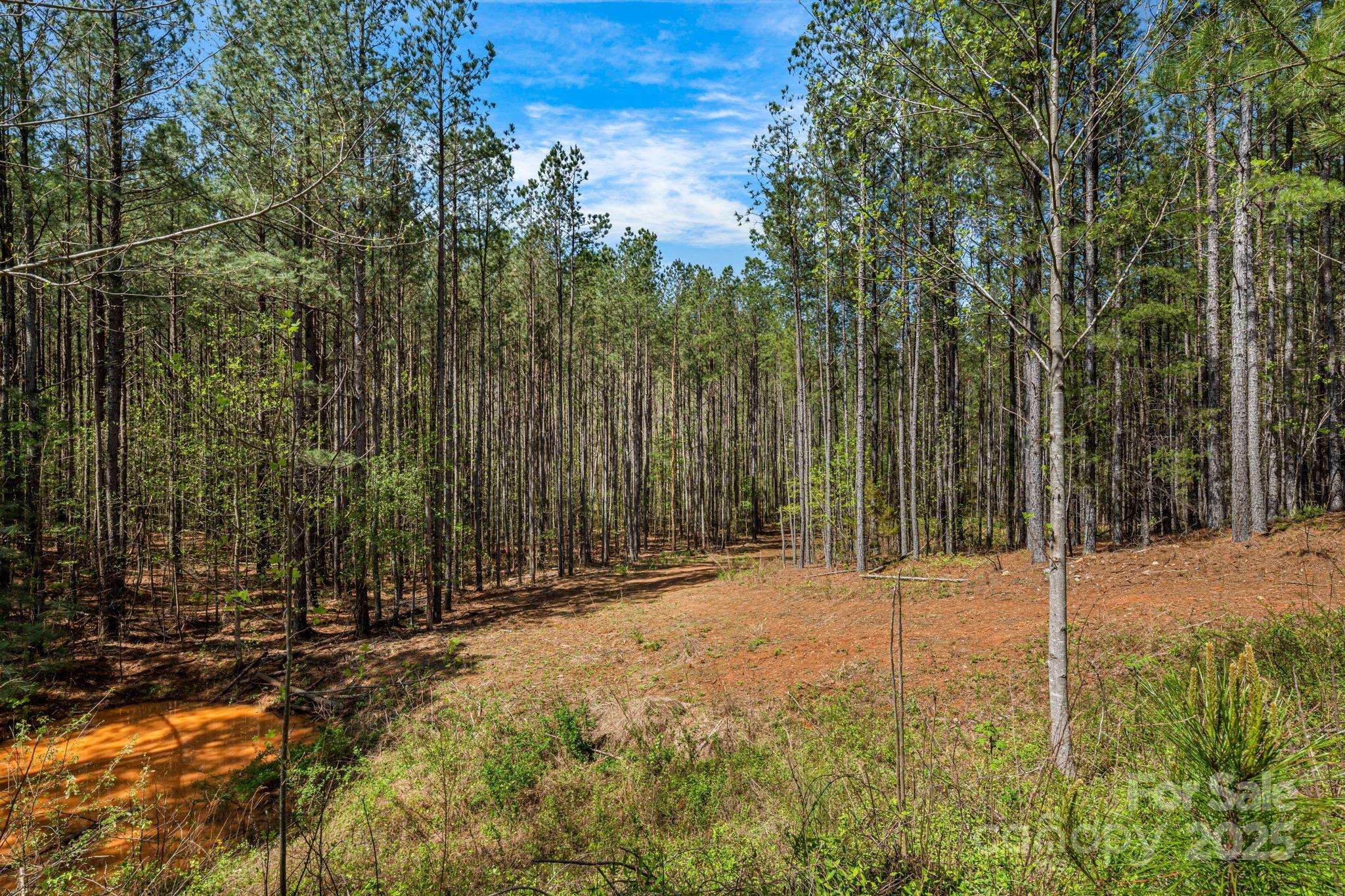 19 Sunset DR #19, Mill Spring, NC 28756