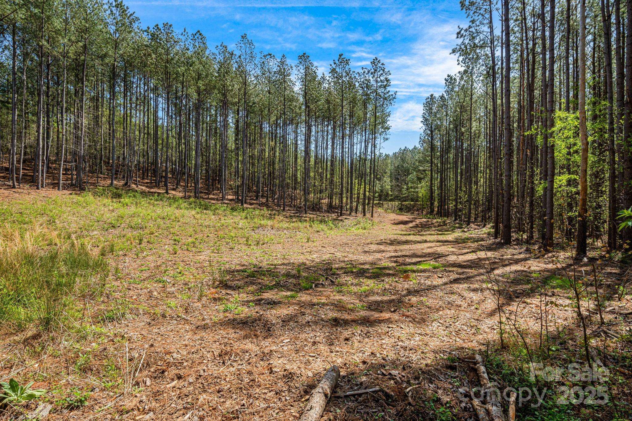 19 Sunset DR #19, Mill Spring, NC 28756