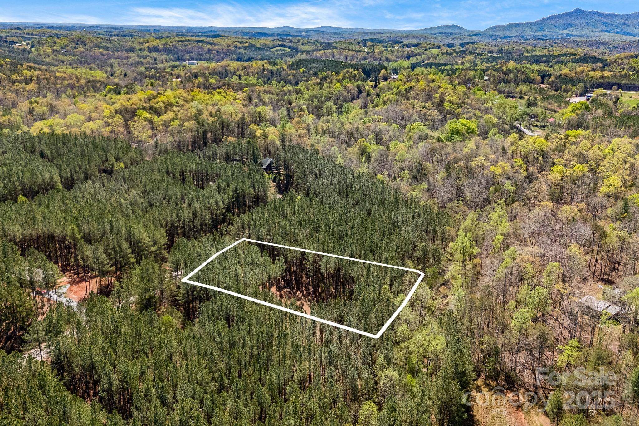 19 Sunset DR #19, Mill Spring, NC 28756