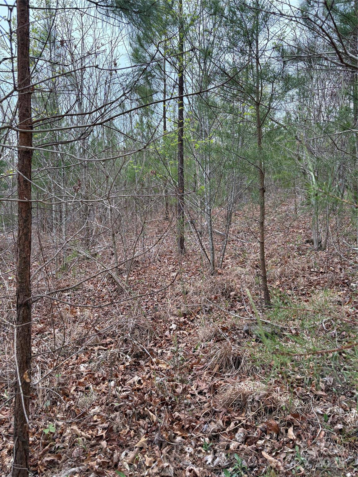 0 Rose Hollow DR #Tract 1, Mill Spring, NC 28756