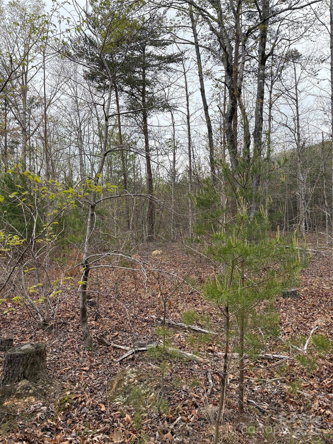0 Rose Hollow DR #Tract 1, Mill Spring, NC 28756