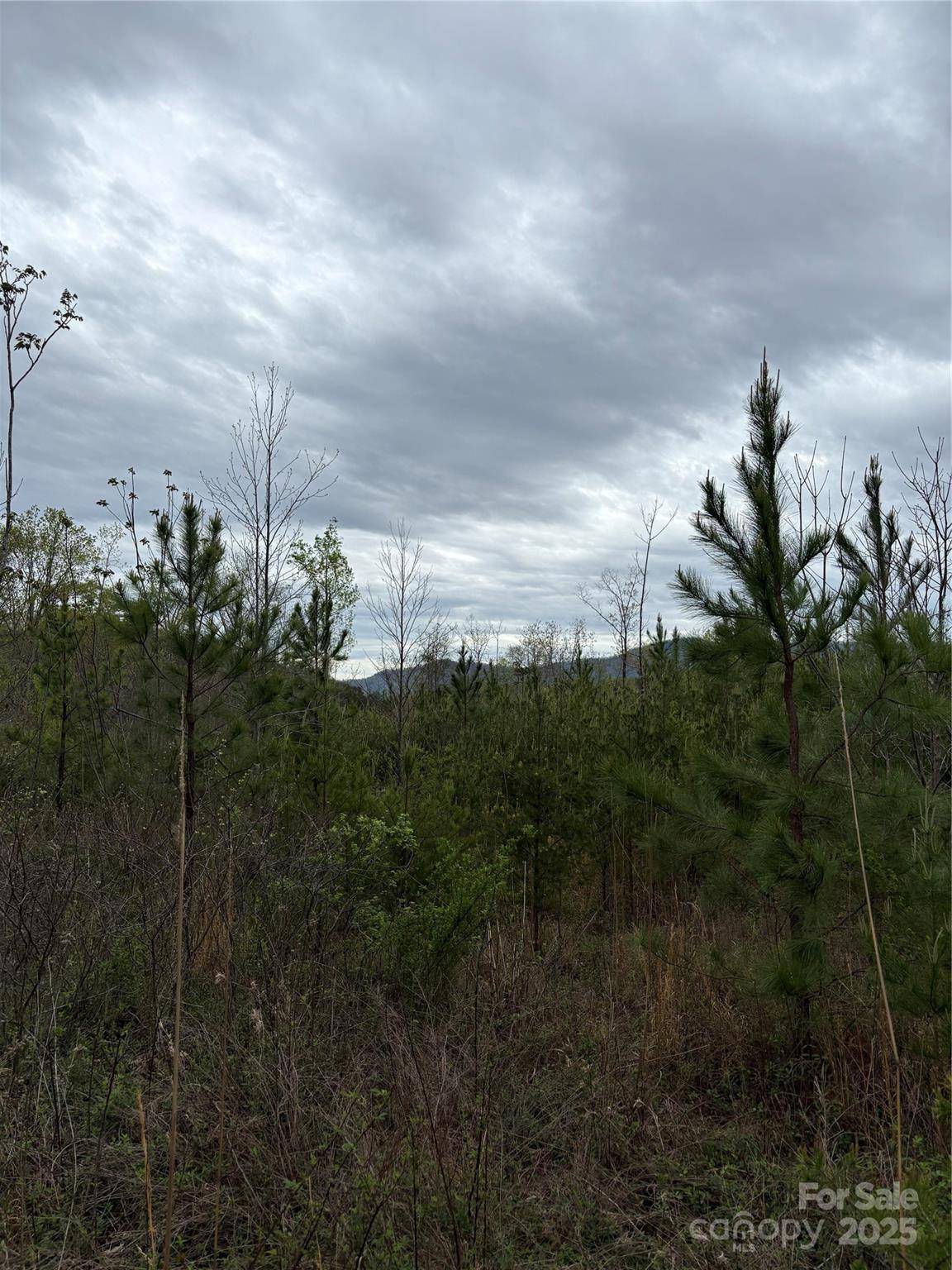 0 Rose Hollow DR #Tract 1, Mill Spring, NC 28756