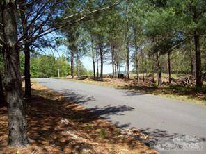 1552 Bear Cliff DR #31, Nebo, NC 28761