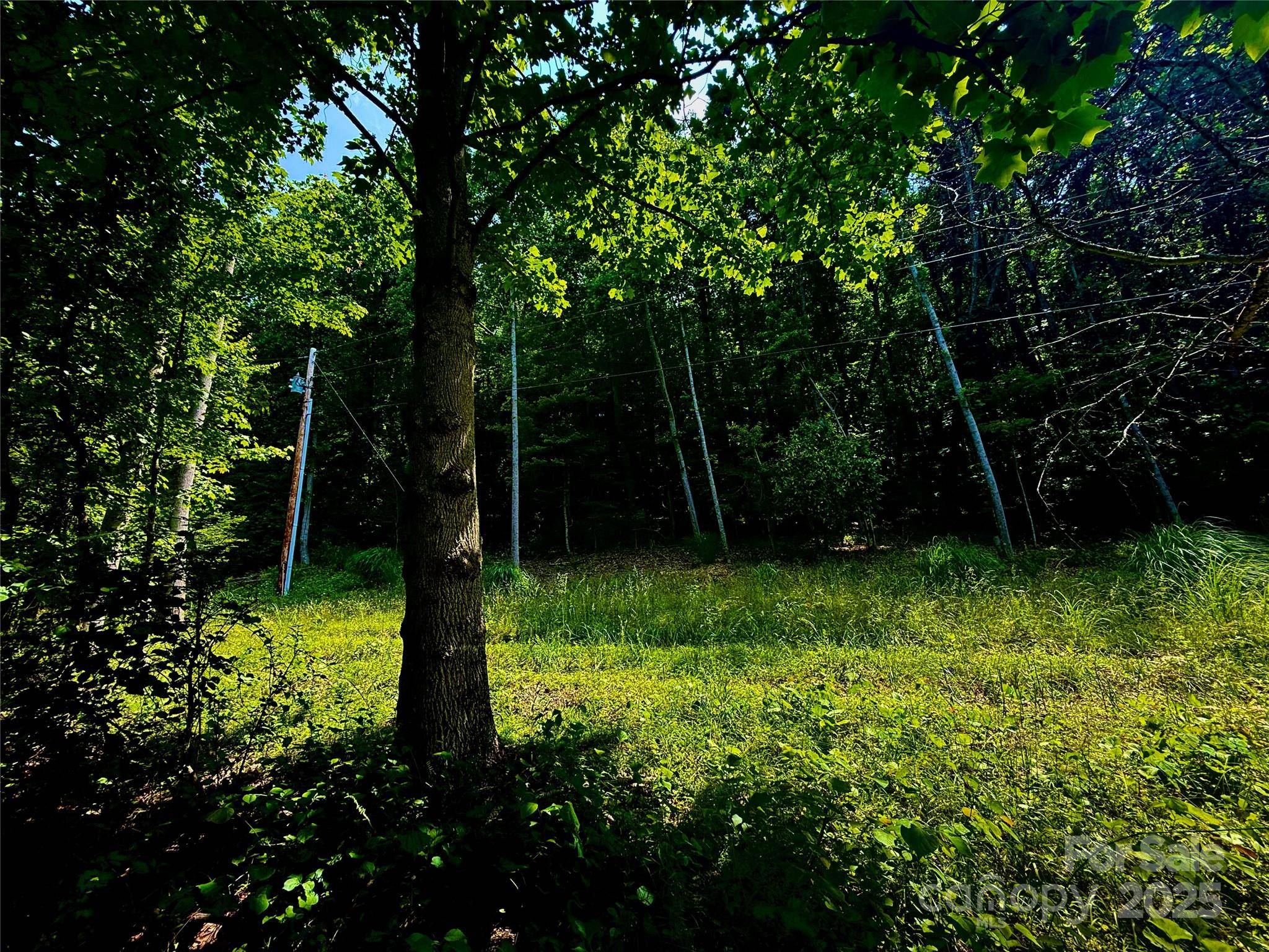 700 Wooded Mountain TRL, Mars Hill, NC 28754