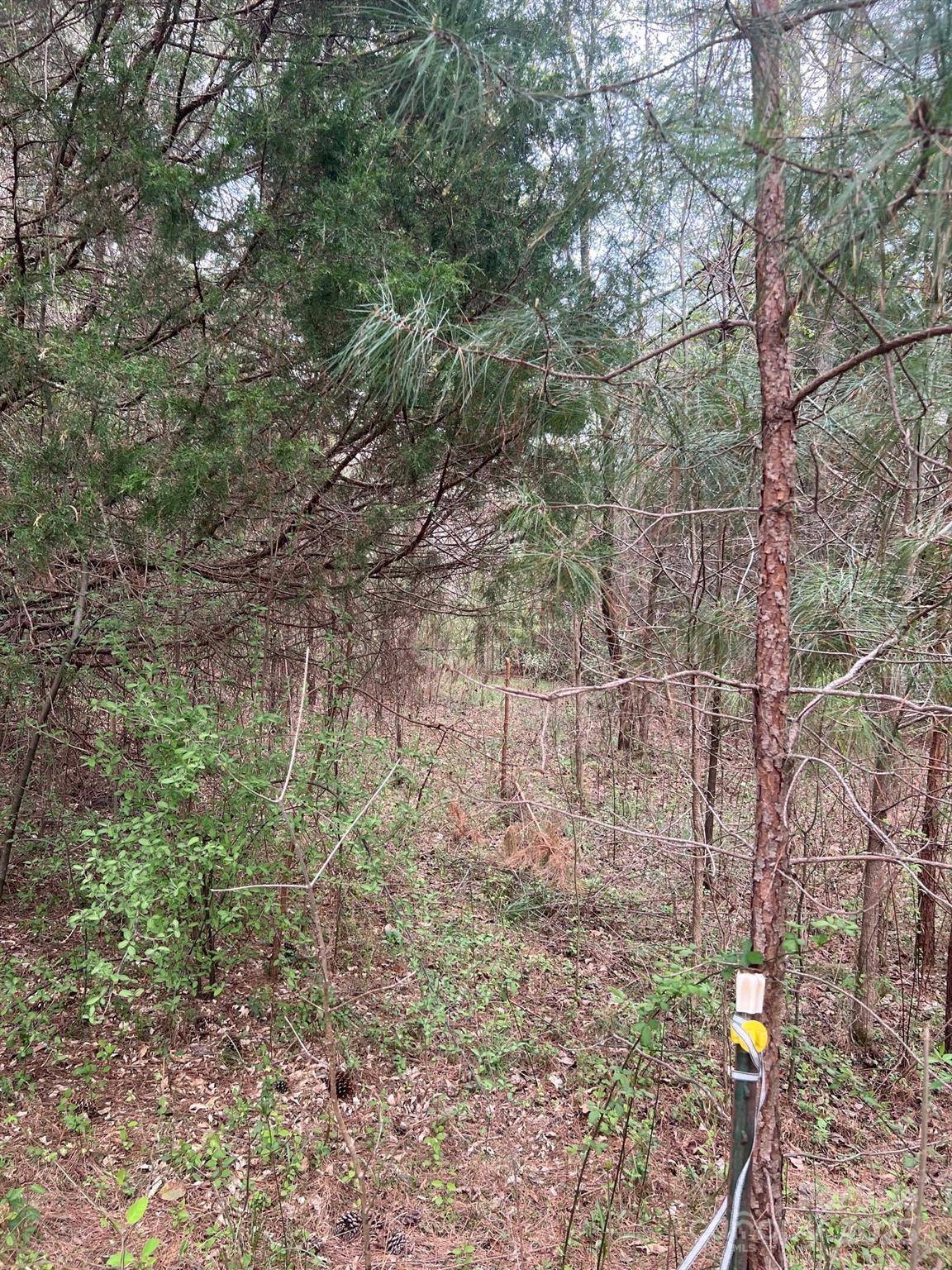 11055 Graybark RD, Midland, NC 28107