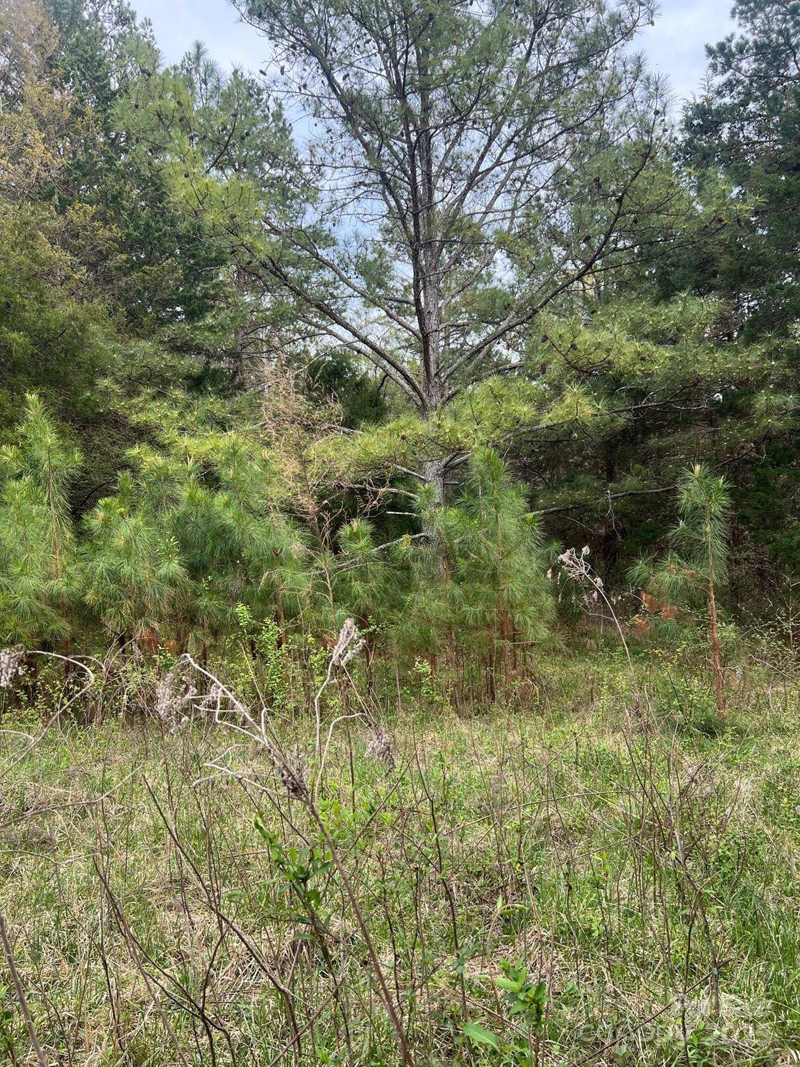 11055 Graybark RD, Midland, NC 28107