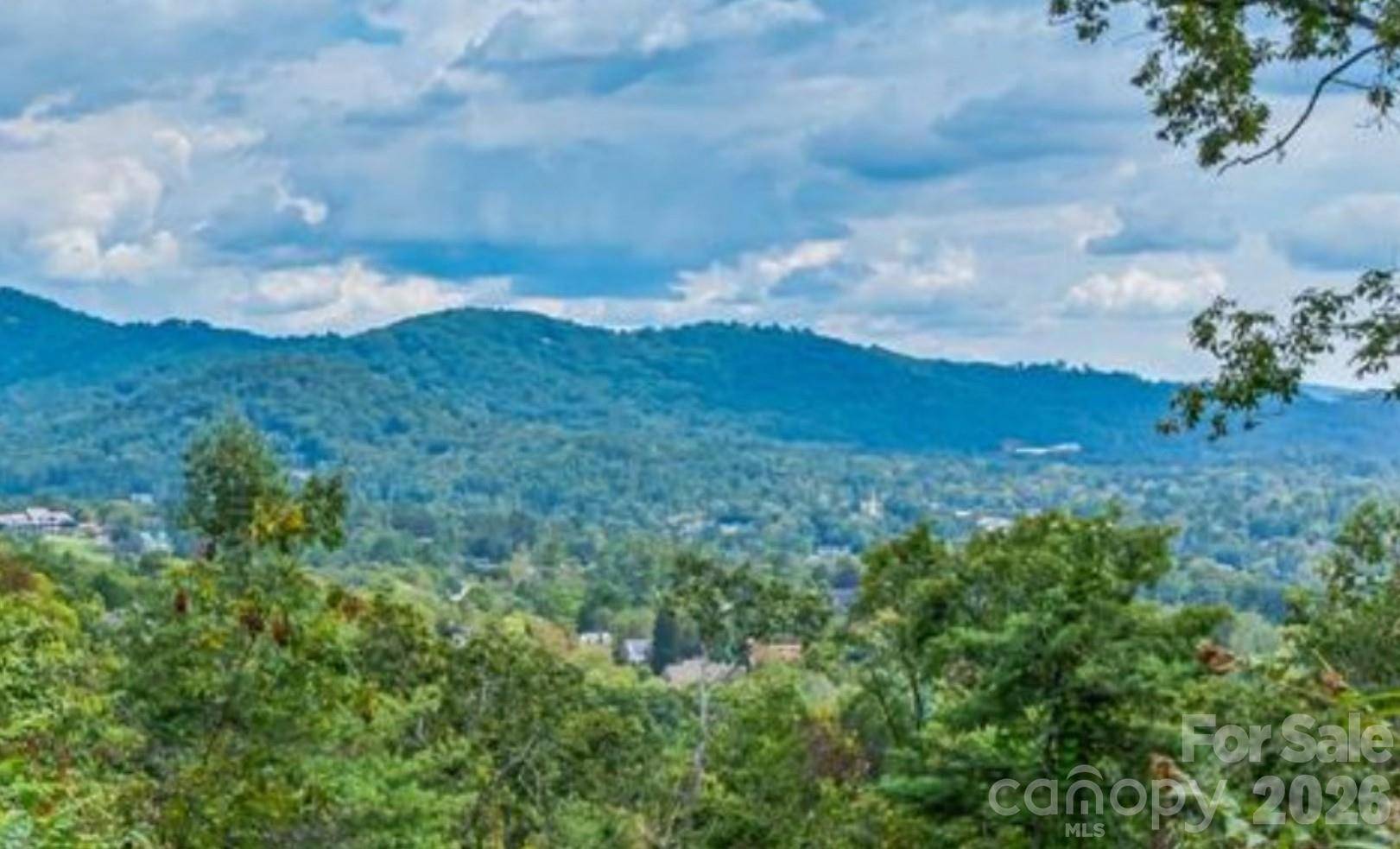 130 Summit Tower CIR #LOTS 213 & 214, Asheville, NC 28804