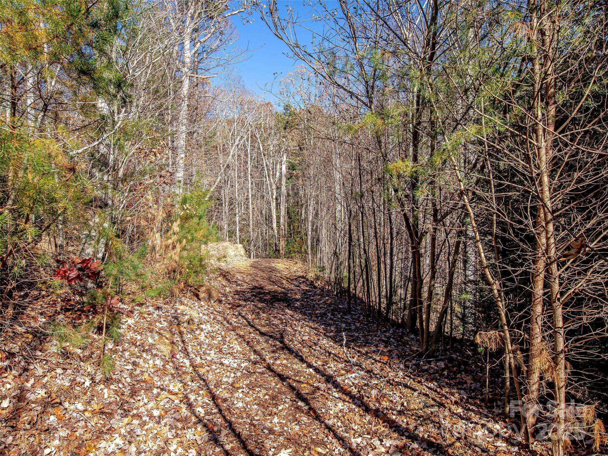 36 Slide Rock WAY, Fairview, NC 28730
