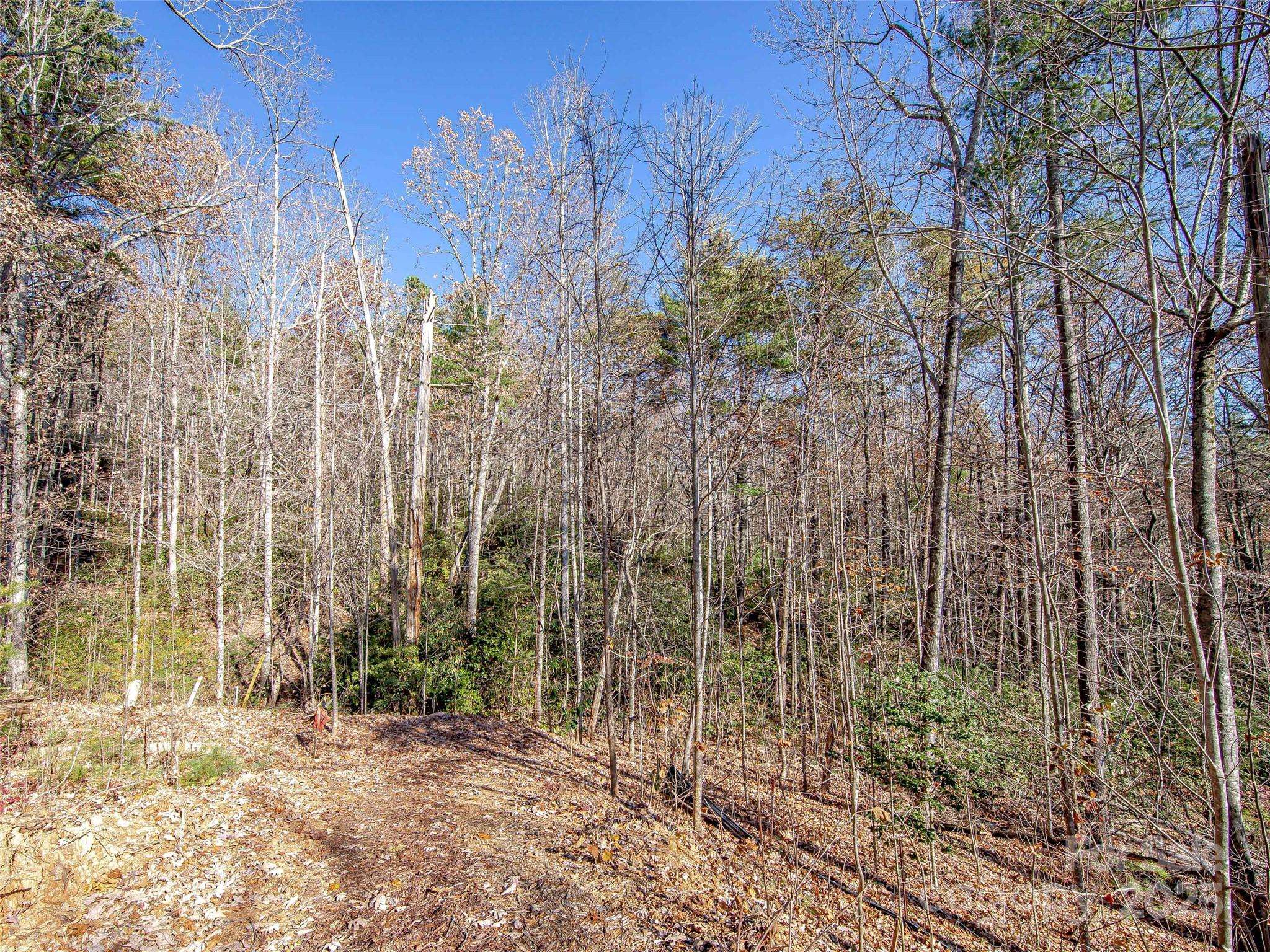 36 Slide Rock WAY, Fairview, NC 28730