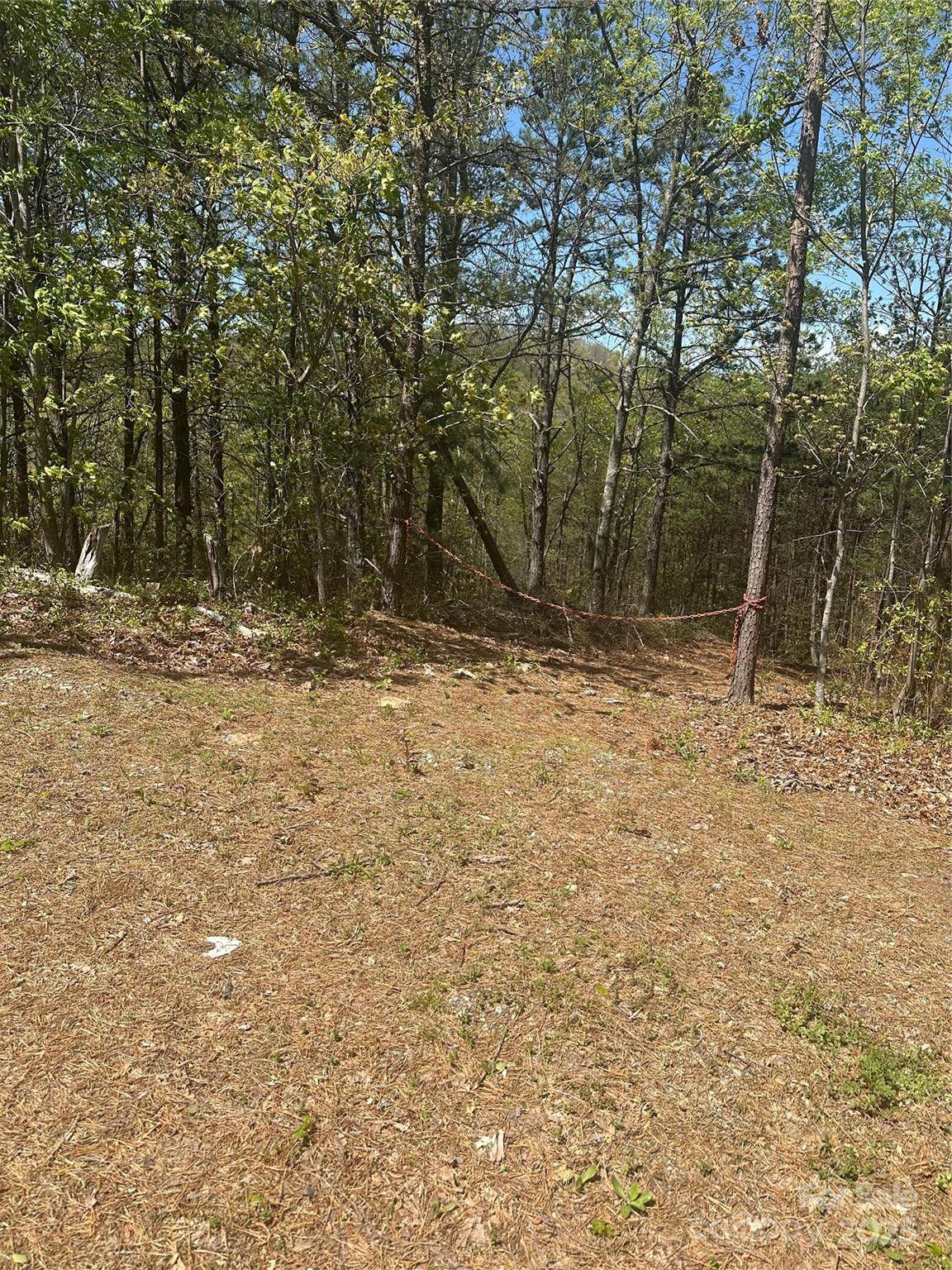 4027 Skyline DR, Morganton, NC 28655
