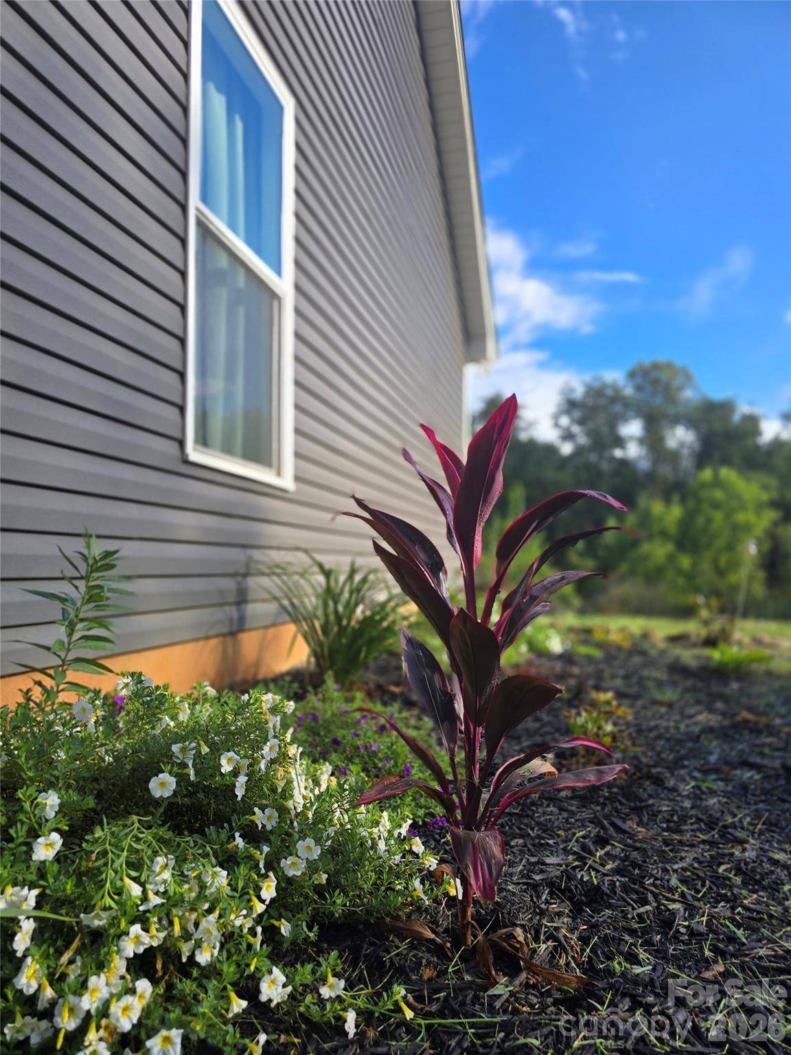 19 Higgins RD, Weaverville, NC 28787