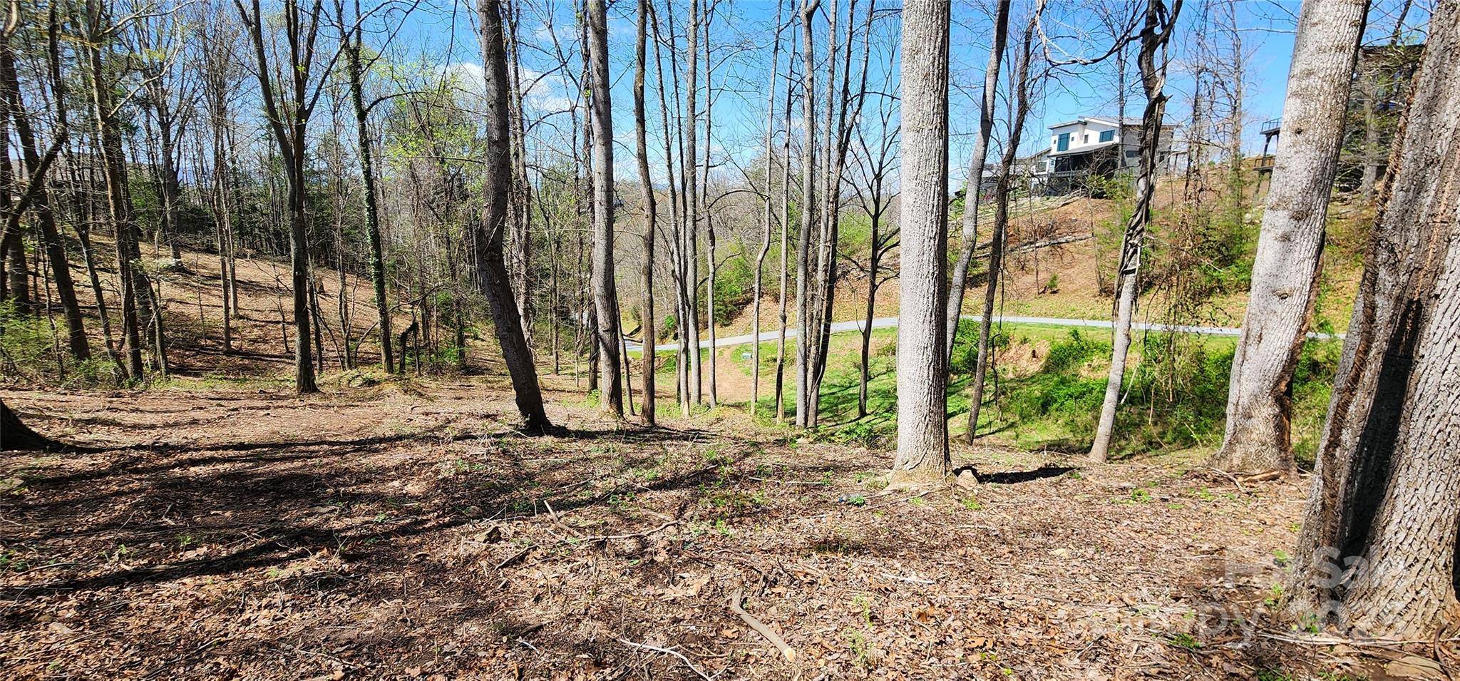 31 Sweet Fern Pkwy #42, Asheville, NC 28804