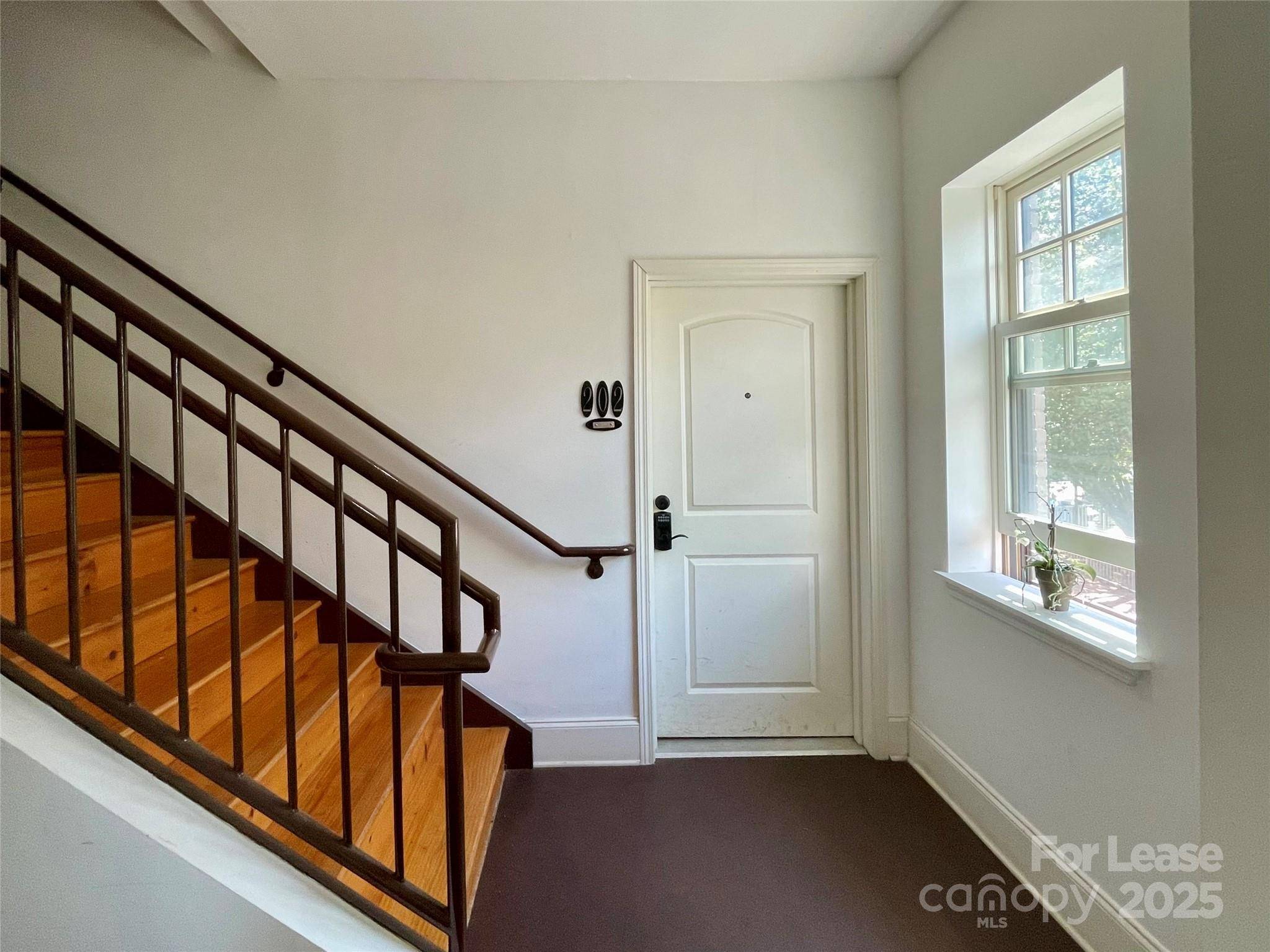5 W Walnut ST #202, Asheville, NC 28801