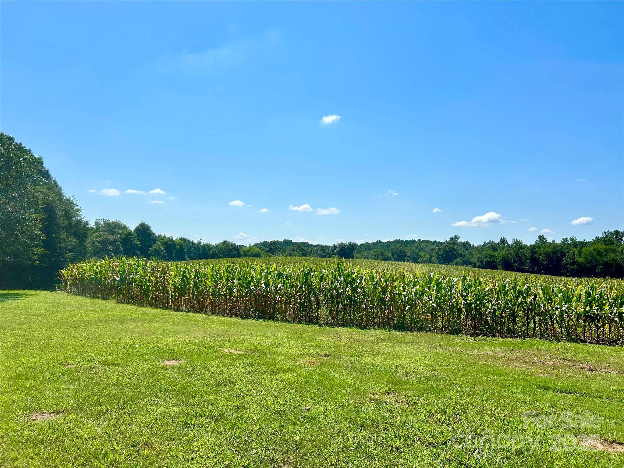 000 Riverview RD, Norwood, NC 28128