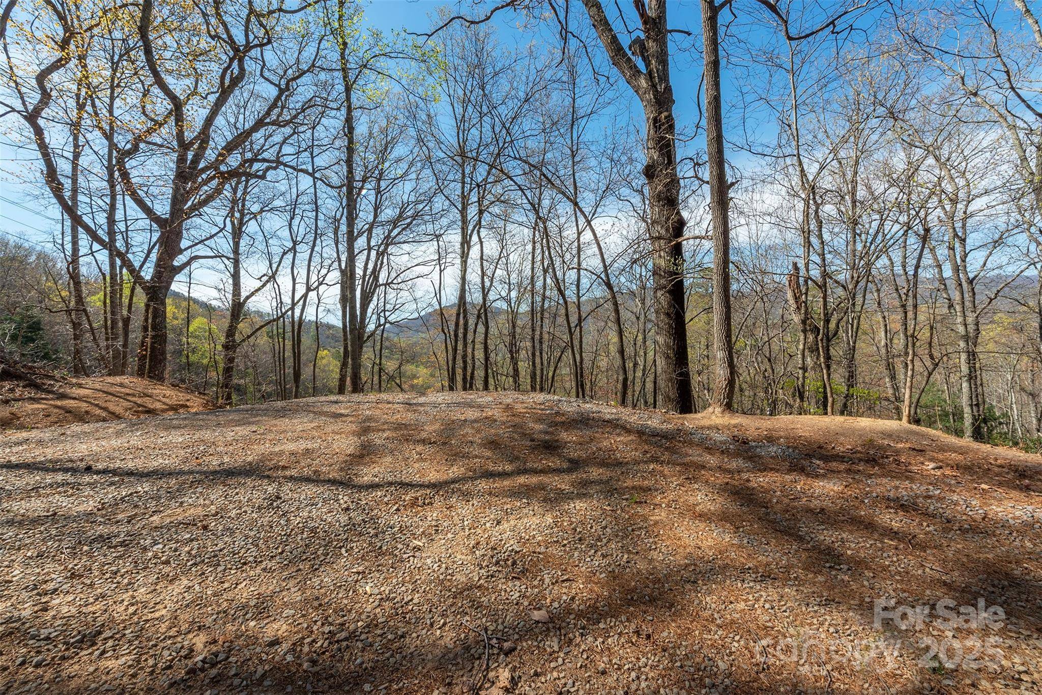 99999 Sunset DR, Black Mountain, NC 28711