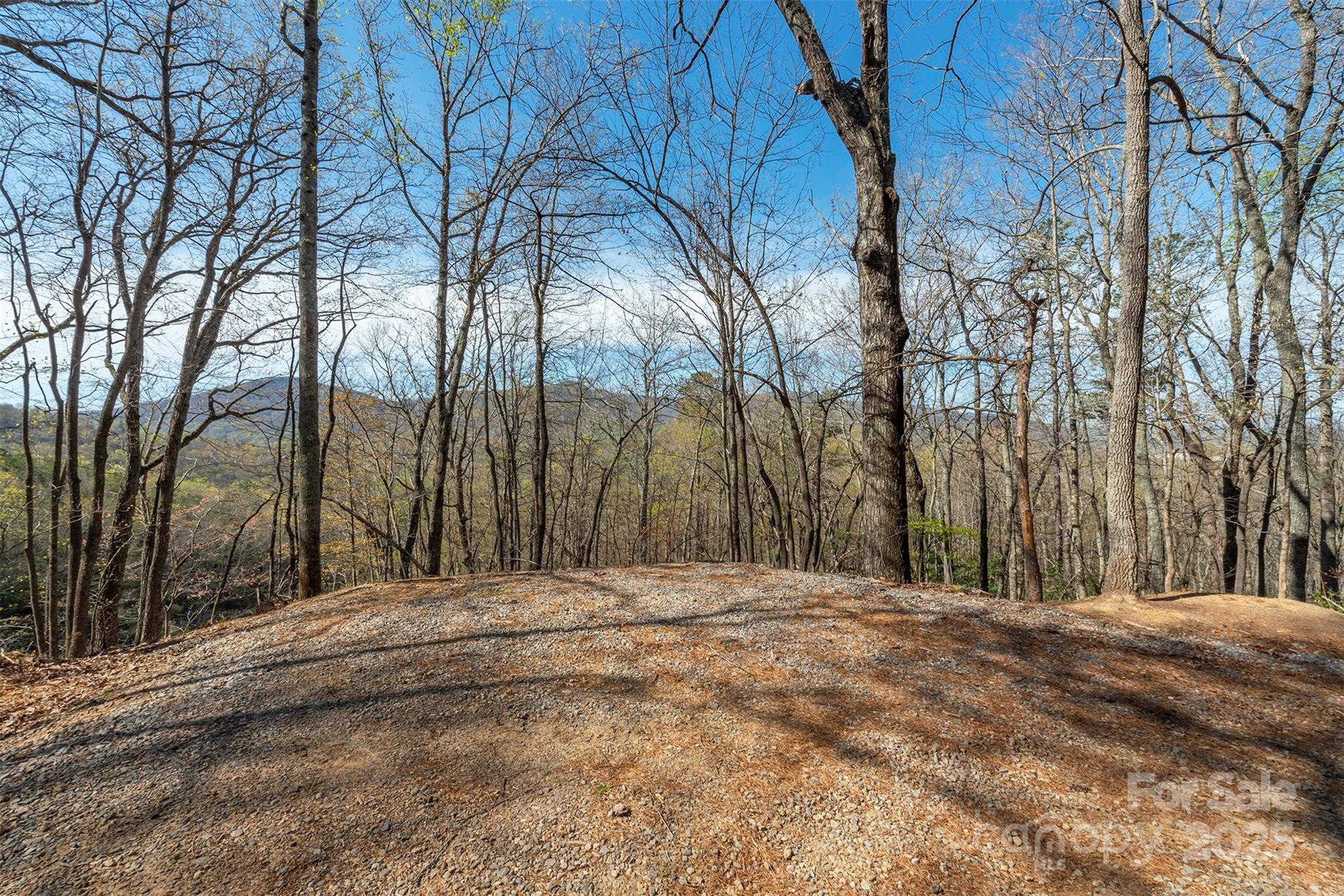 99999 Sunset DR, Black Mountain, NC 28711