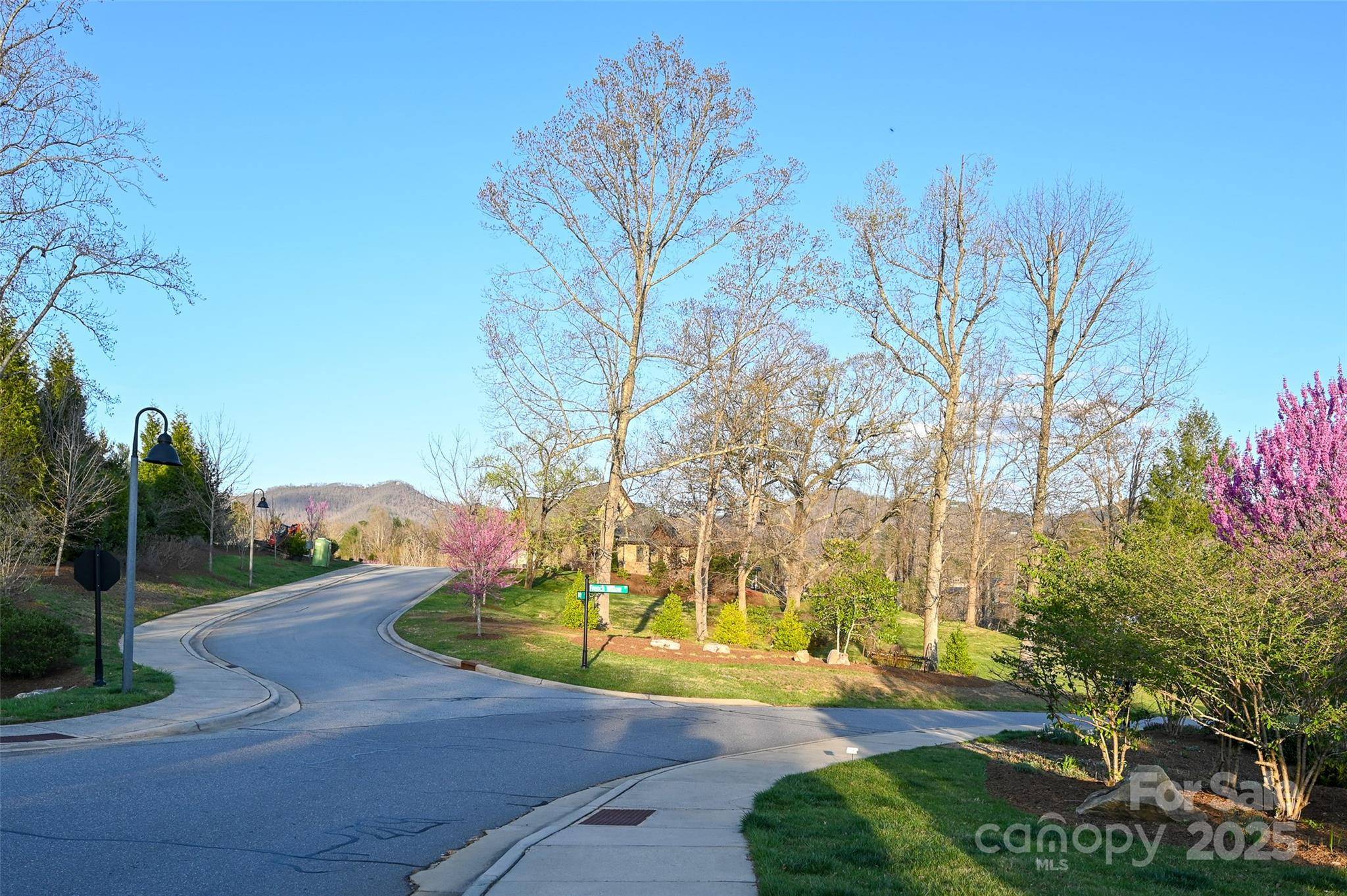 64 French Willow DR, Asheville, NC 28804