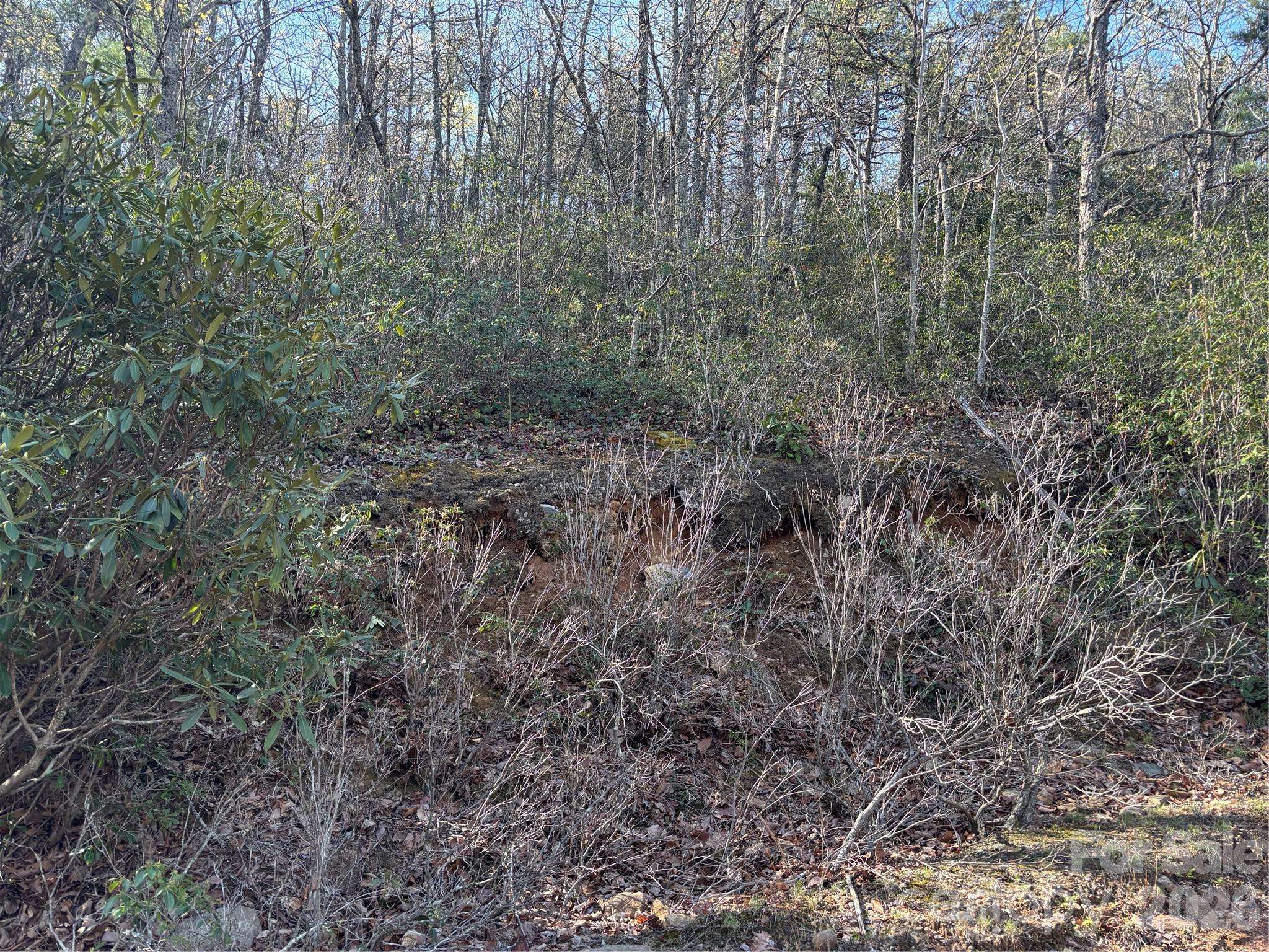 00 Kathy Lake DR #24/25, Edneyville, NC 28792